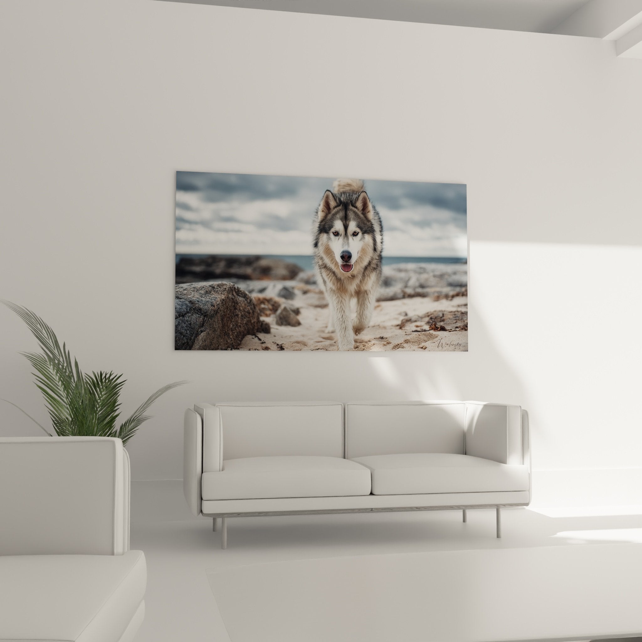 Gros plan tableau malamute alaska expression joyeuse langue rose pelage gris blanc texture sable naturel