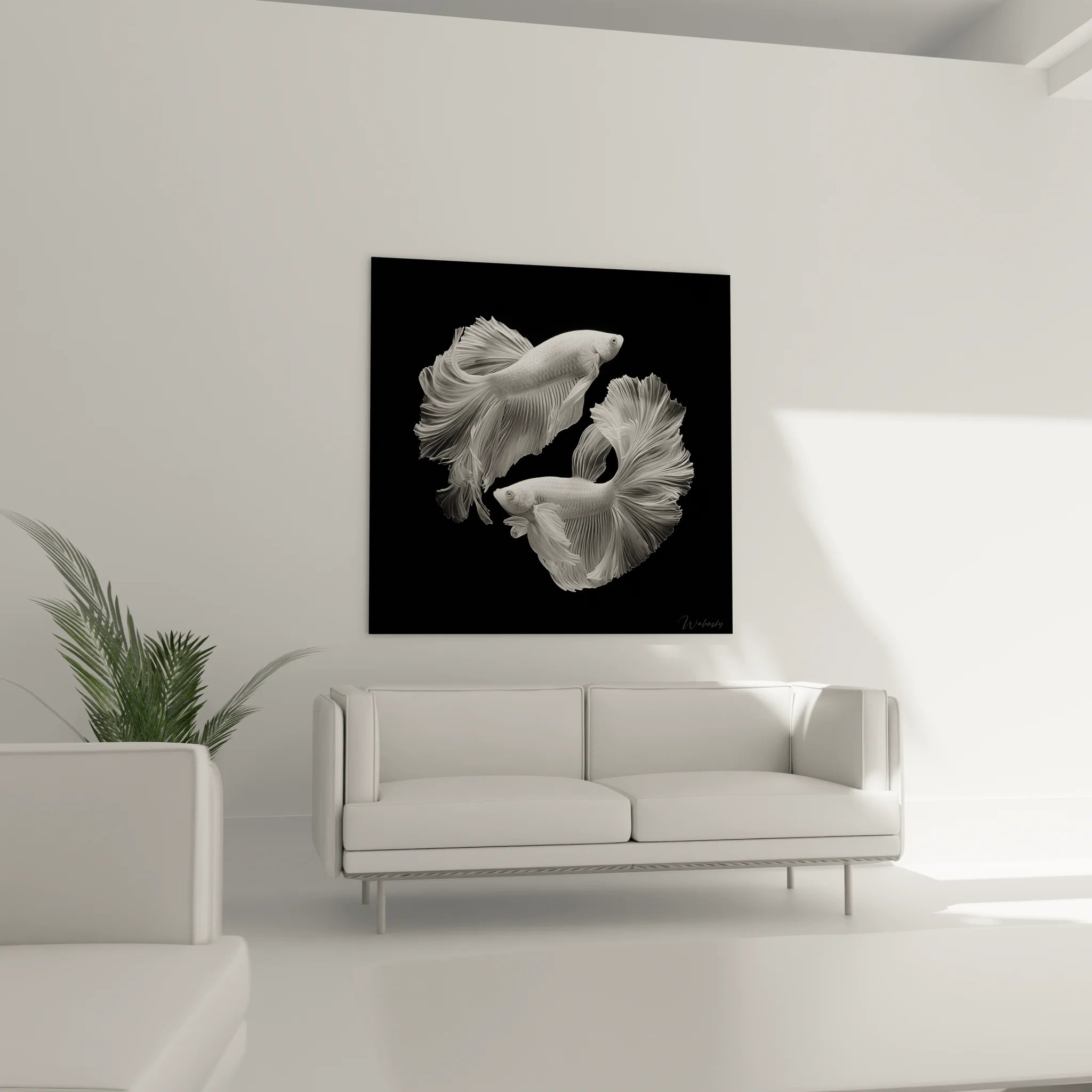 Gros plan détails nageoires poissons combattants art photographique noir et blanc