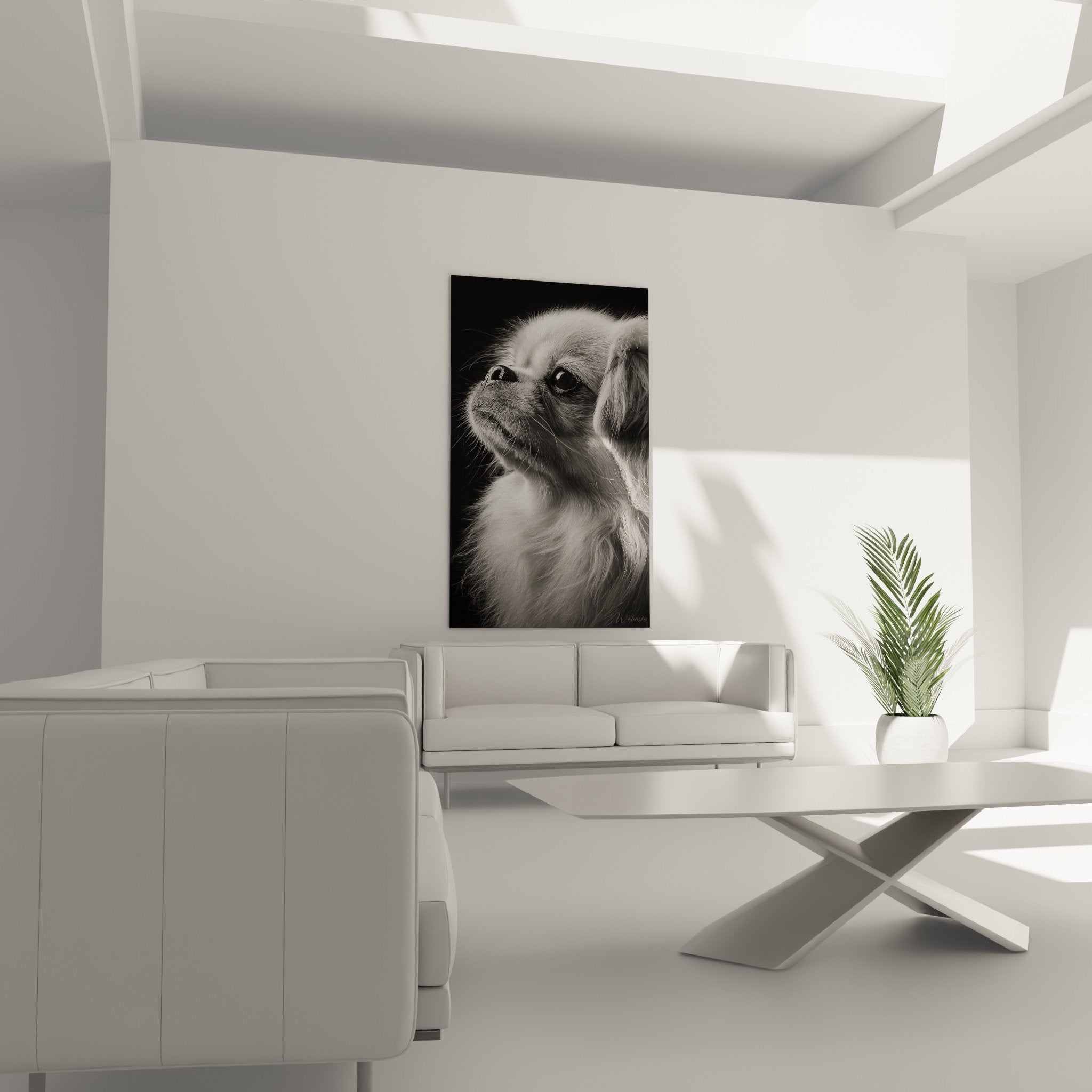 Gros plan portrait pekinois monochrome detail pelage soyeux expression touchante art animalier raffinee