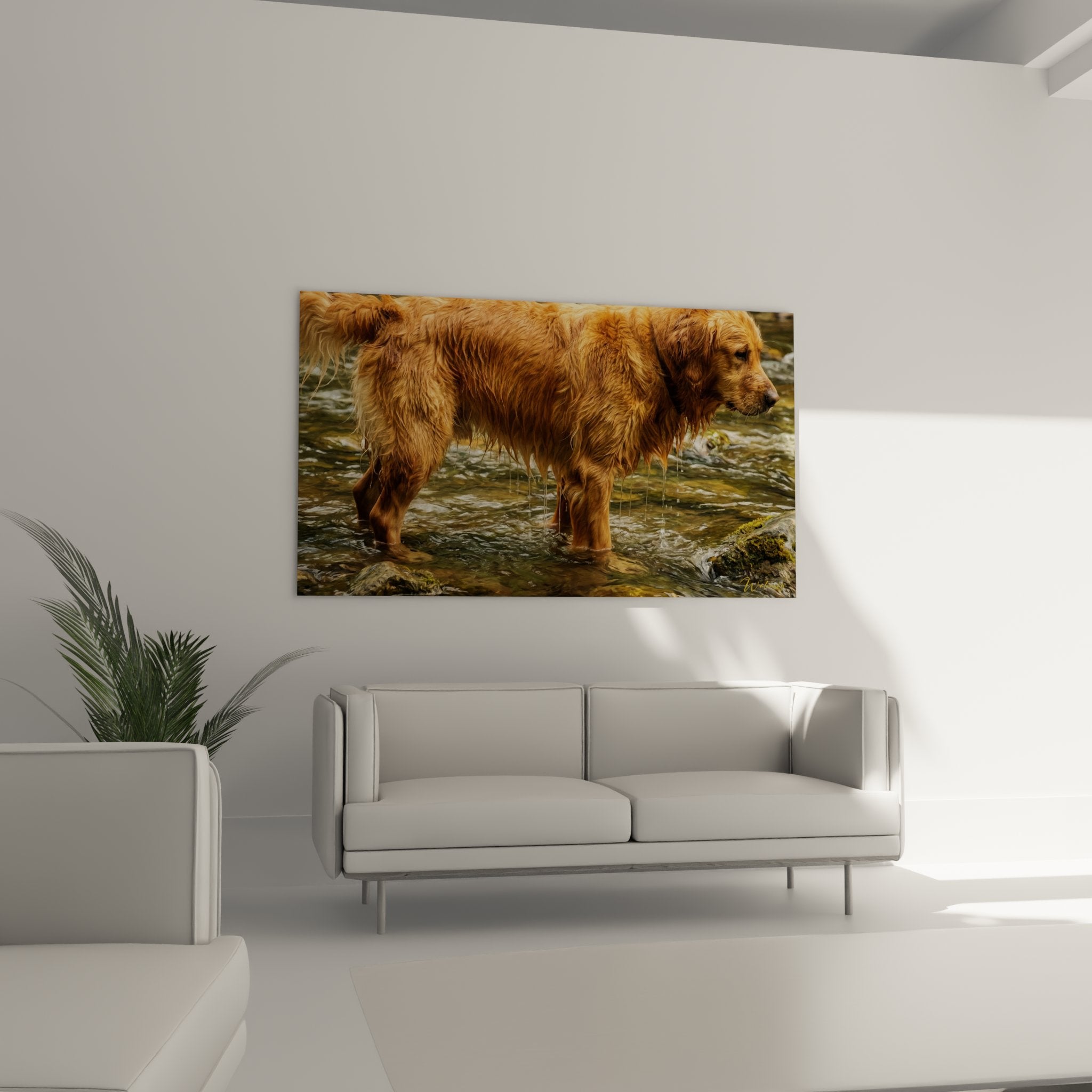 Primo piano del mantello bagnato di un Golden Retriever con gocce d'acqua, riflessi dorati, texture realistica, peli ramati umidi