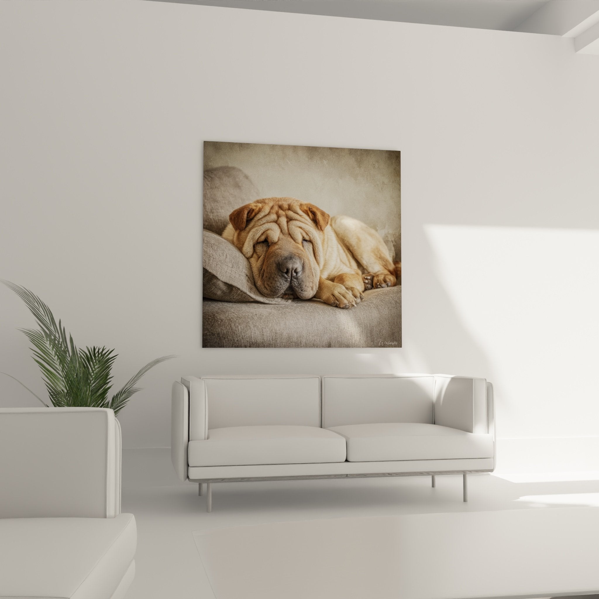 Gros plan plis caractéristiques Shar Pei fauve, texture pelage et nuances beiges détaillées