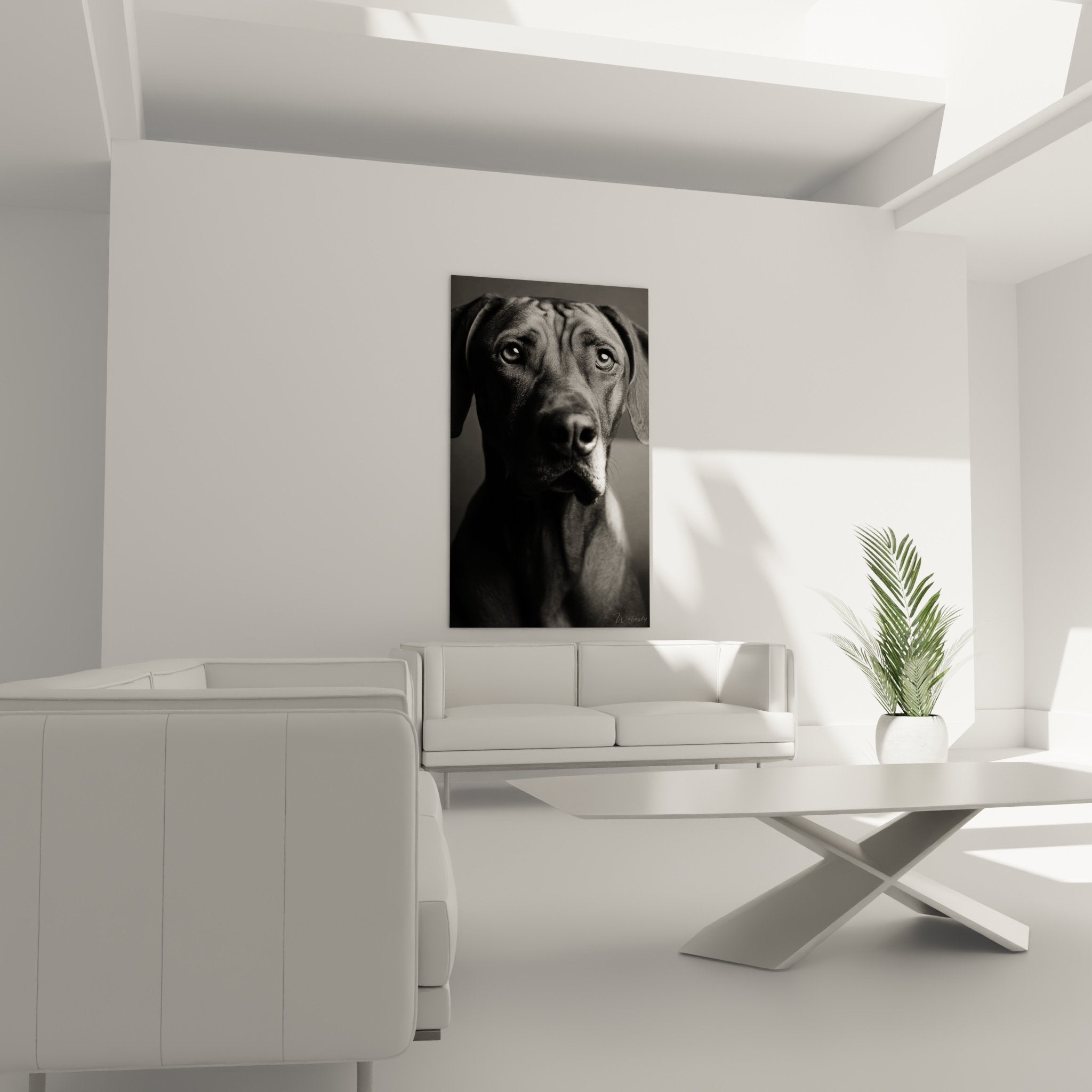 Gros plan portrait artistique Rhodesian Ridgeback noir et blanc, détails texture pelage et regard intense sur toile