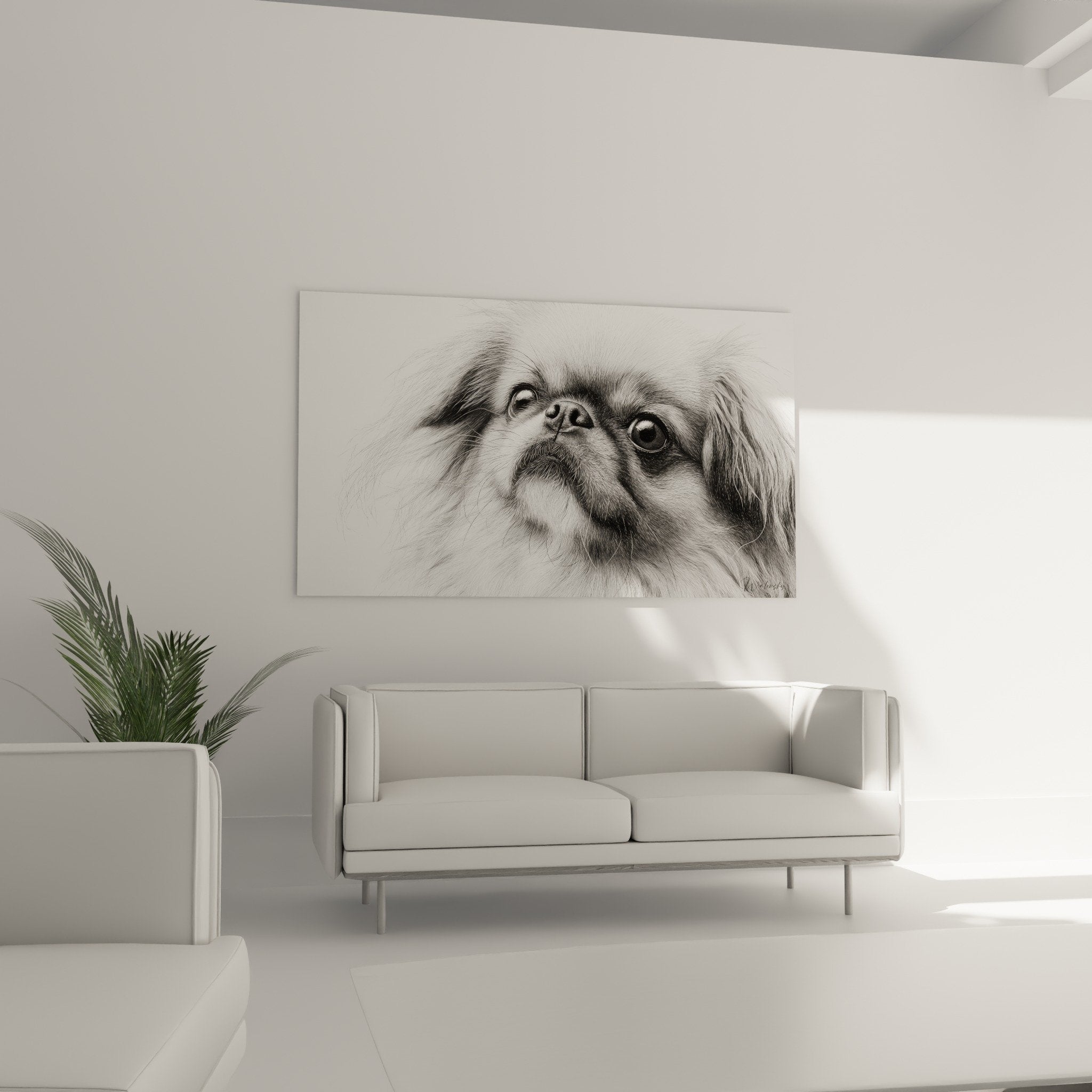 Gros plan portrait pekinois dessin realiste noir blanc details pelage yeux tendres