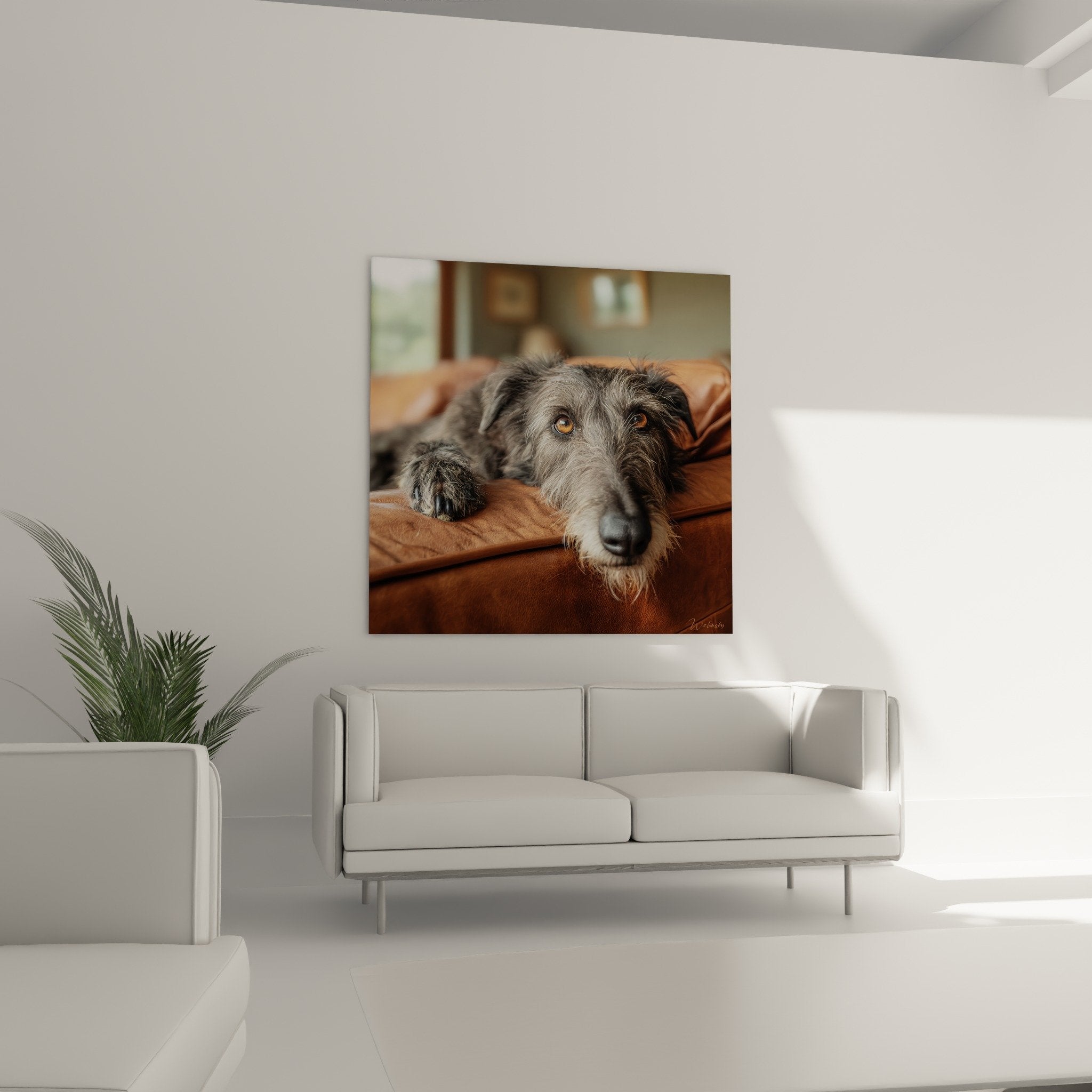 Gros plan regard ambré profond deerhound gris, détails pelage argenté et expression noble du lévrier