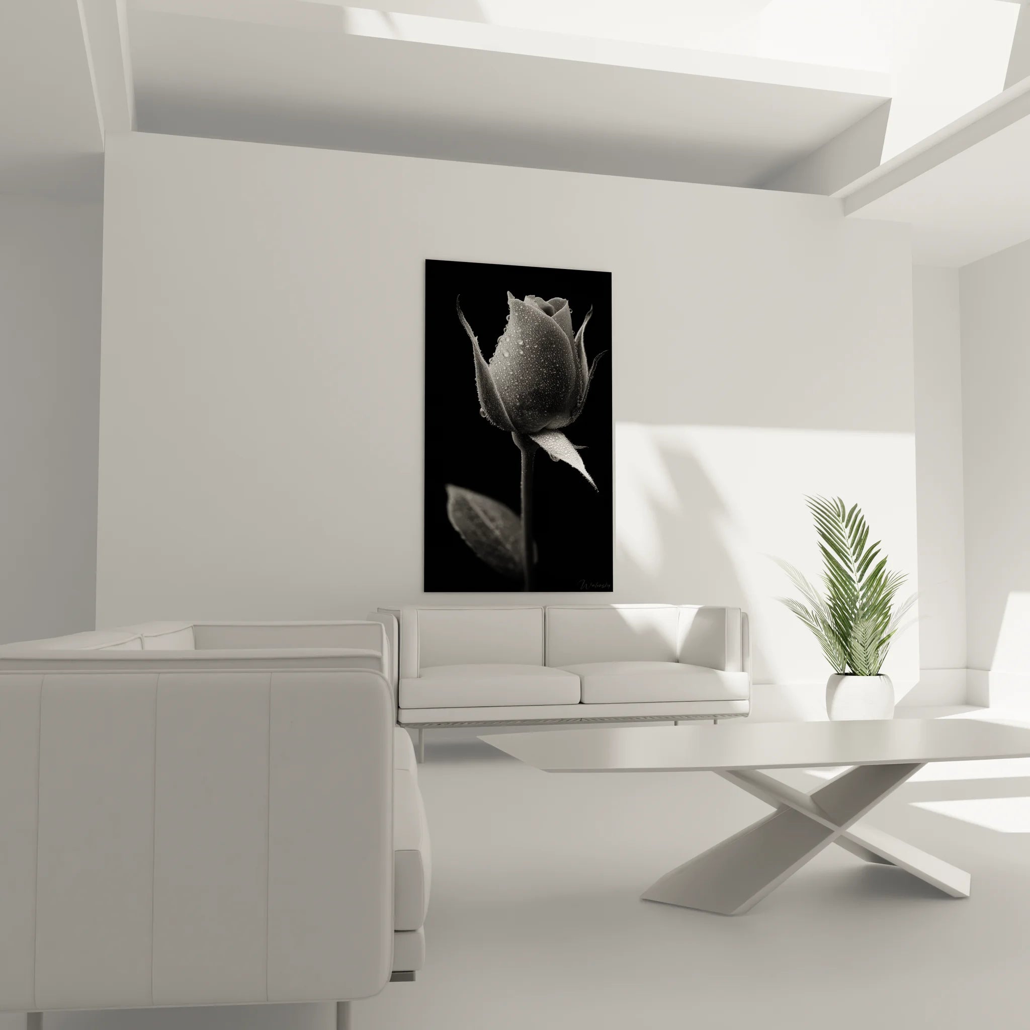 Gros plan artistique rose monochrome avec gouttes d'eau macro photographie