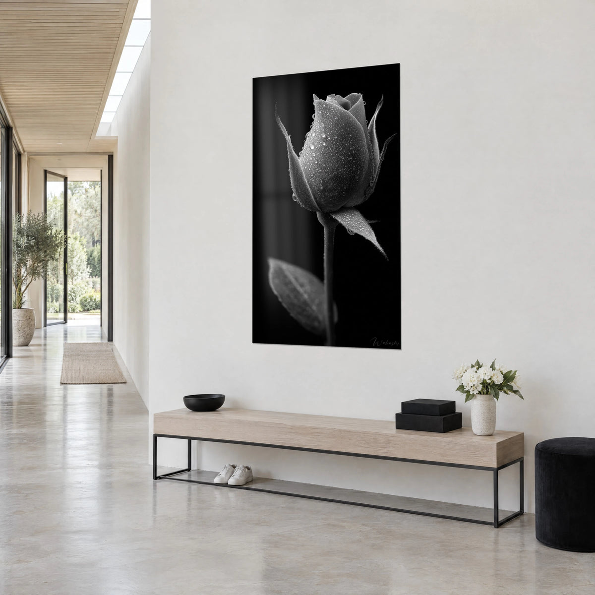 Cuadro rosa en capullo cubierta de gotitas, tallo esbelto y hoja gris sobre negro intenso, pared blanca de un recibidor aireado