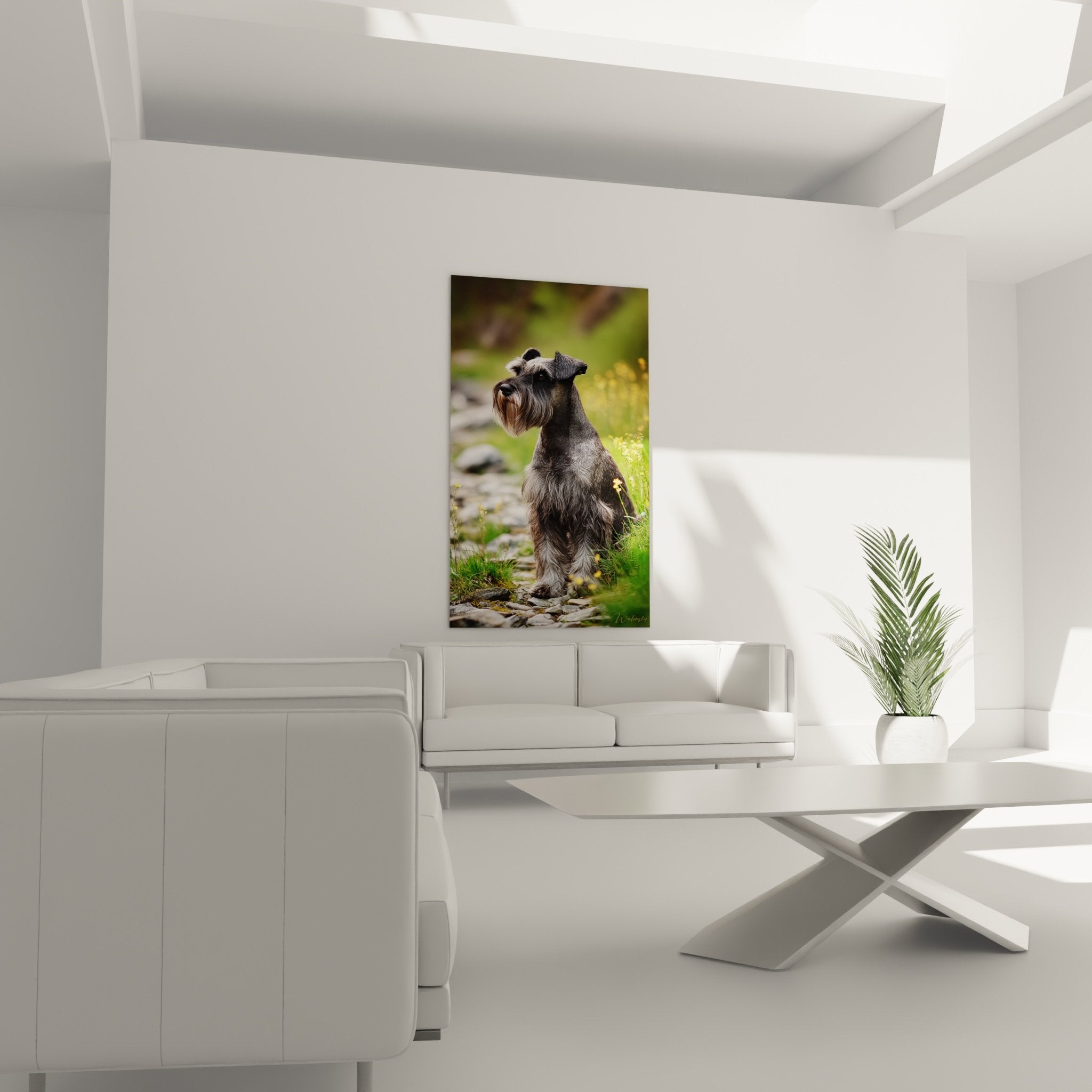 Gros plan portrait Schnauzer gris anthracite, détails pelage texturé, regard perçant, fleurs jaunes naturelles