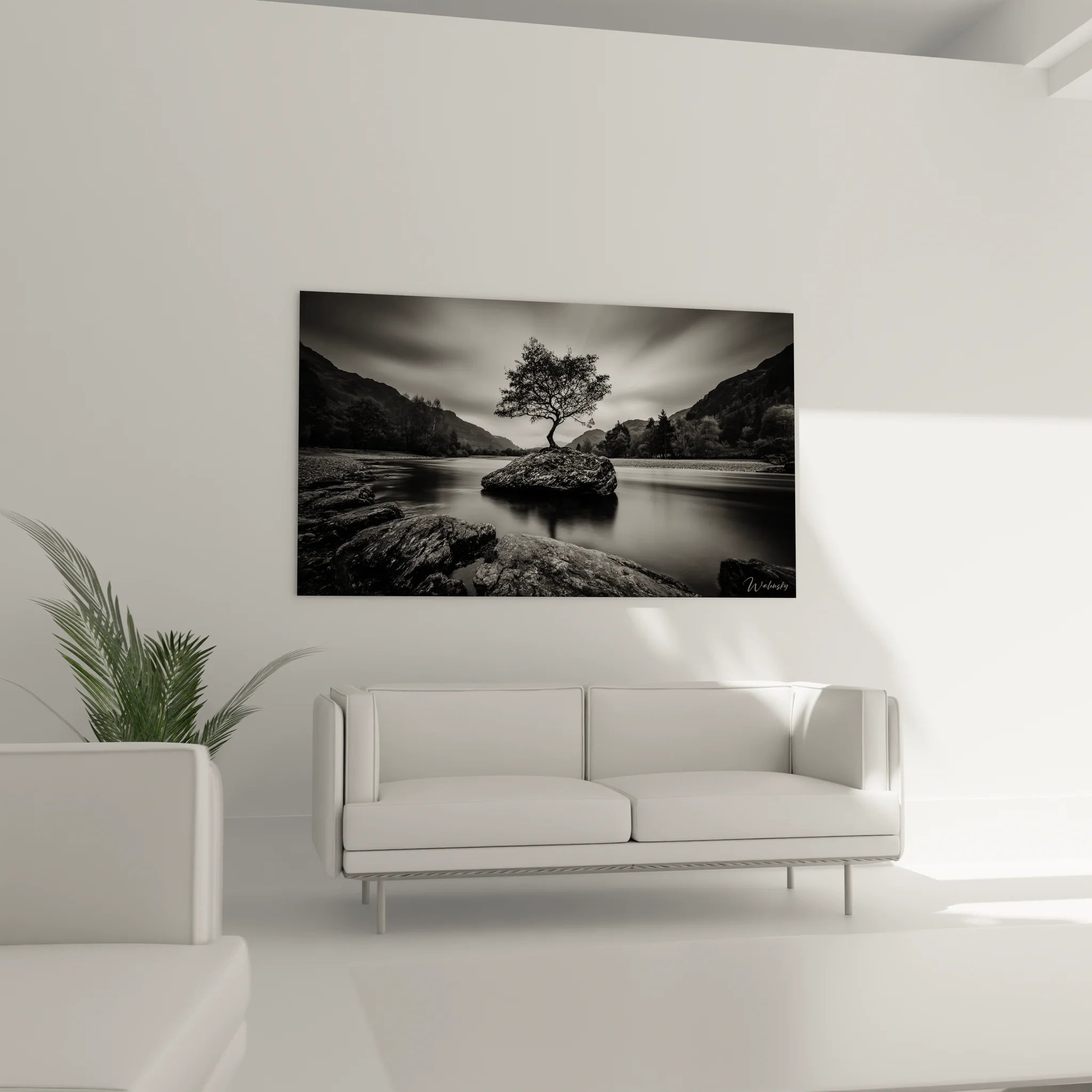 Gros plan tableau arbre solitaire noir et blanc montrant détails texture et contraste artistique