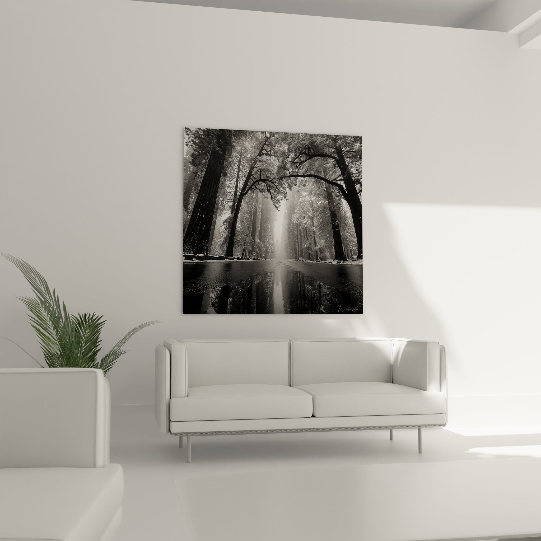 Gros plan tableau reflets arbres dans l'eau, détails photographie noir et blanc forêt matinale
