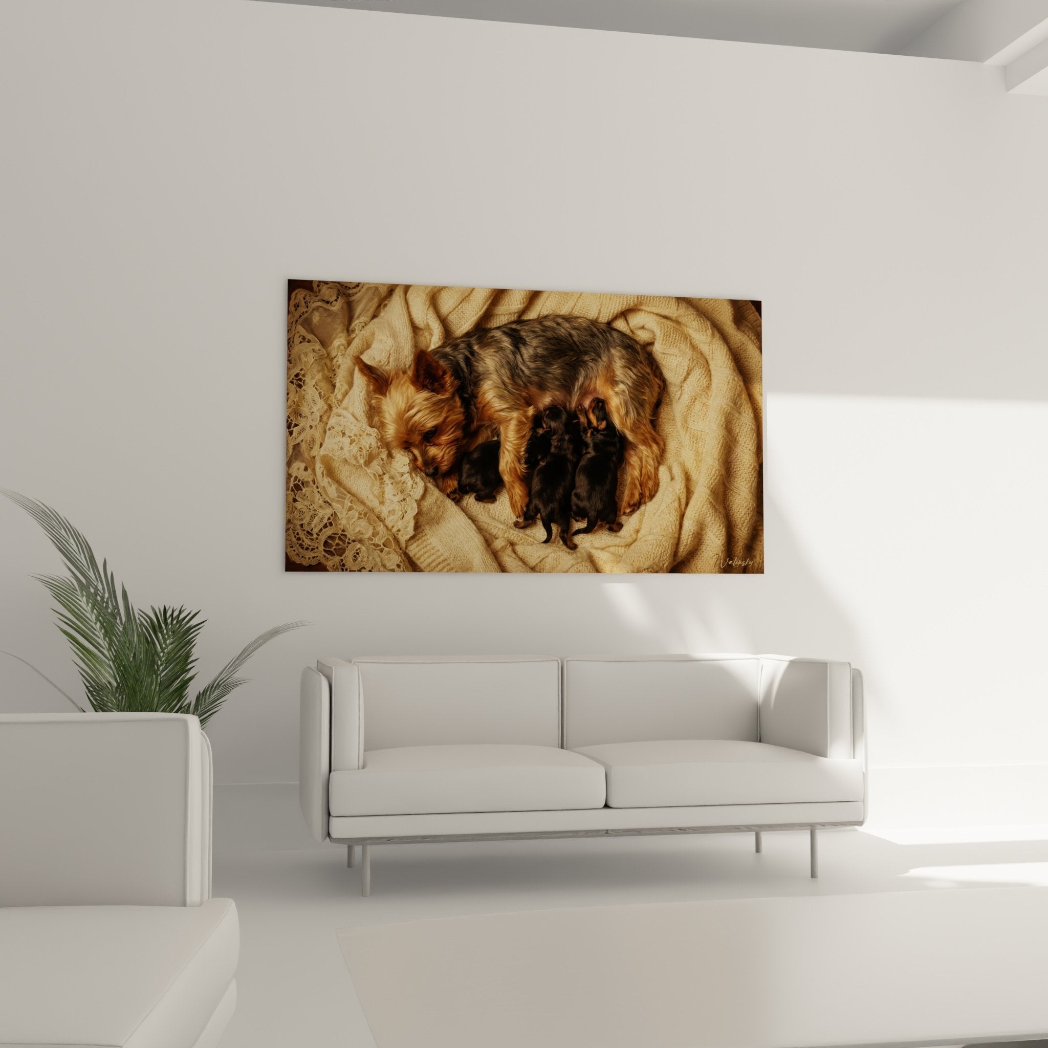 Gros plan yorkshire terrier pelage dore brun avec chiots noirs couvertures beiges dentelle texture douce maternite