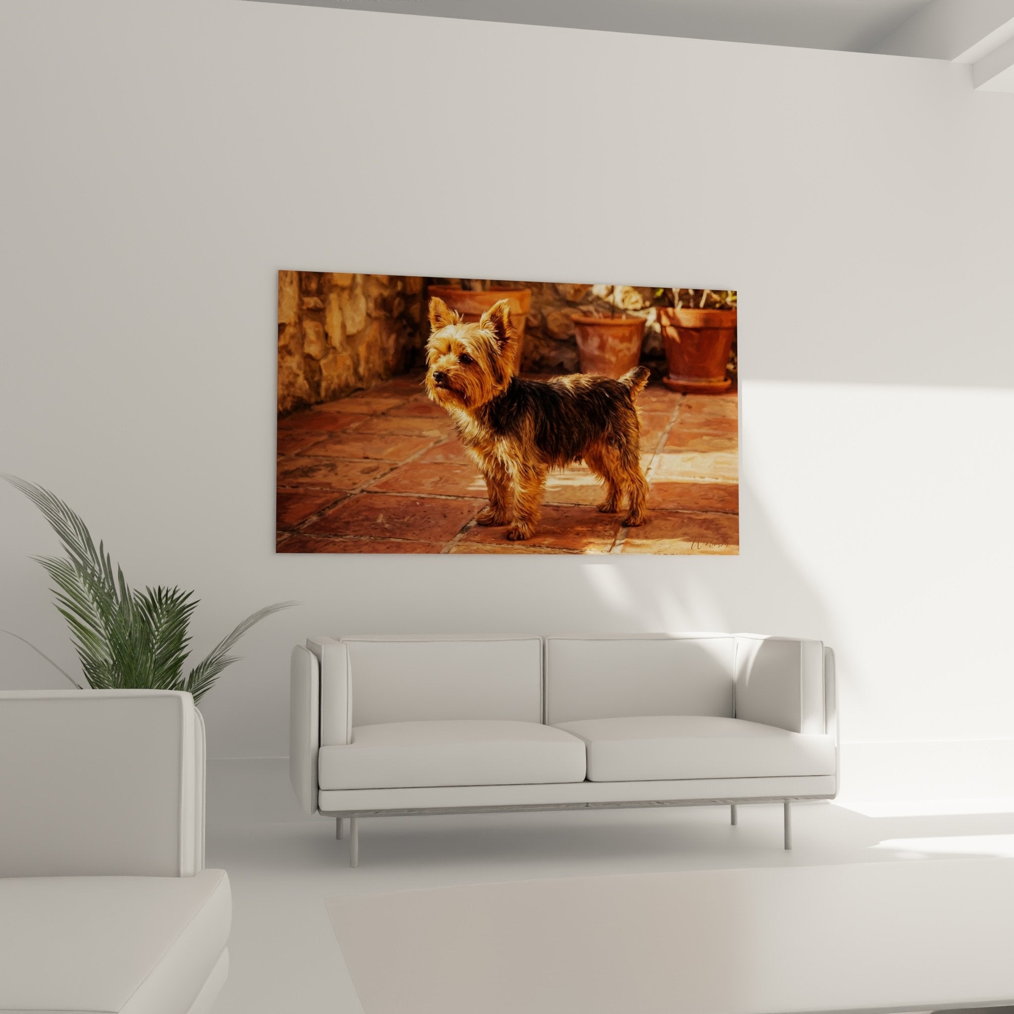 Gros plan pelage cuivre Yorkshire Terrier reflets lumineux carrelage terre cuite authentique