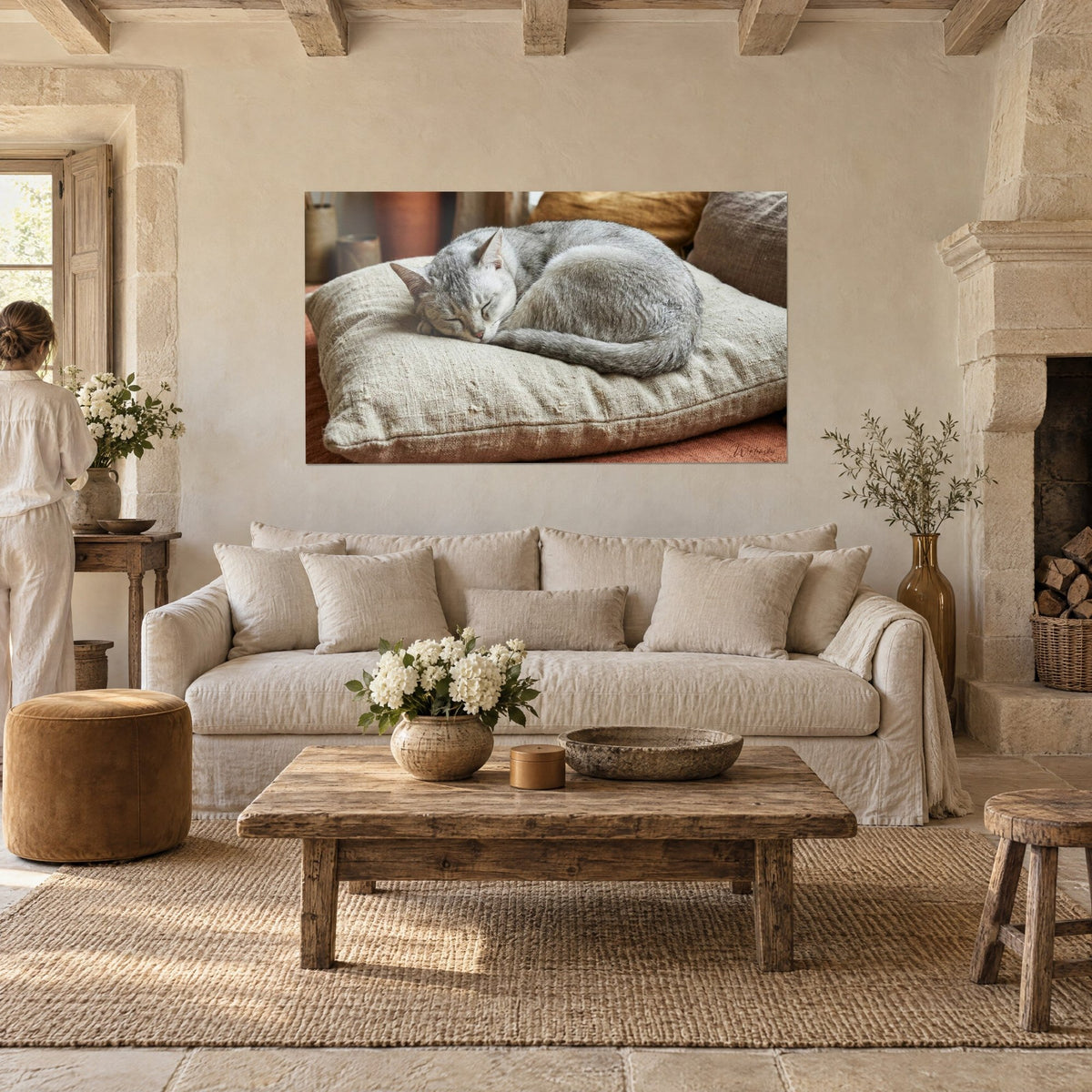 Schilderij opgerolde Burmilla-kat, zilvergrijze vacht op beige linnen kussen, boven een bank in een lichte woonkamer