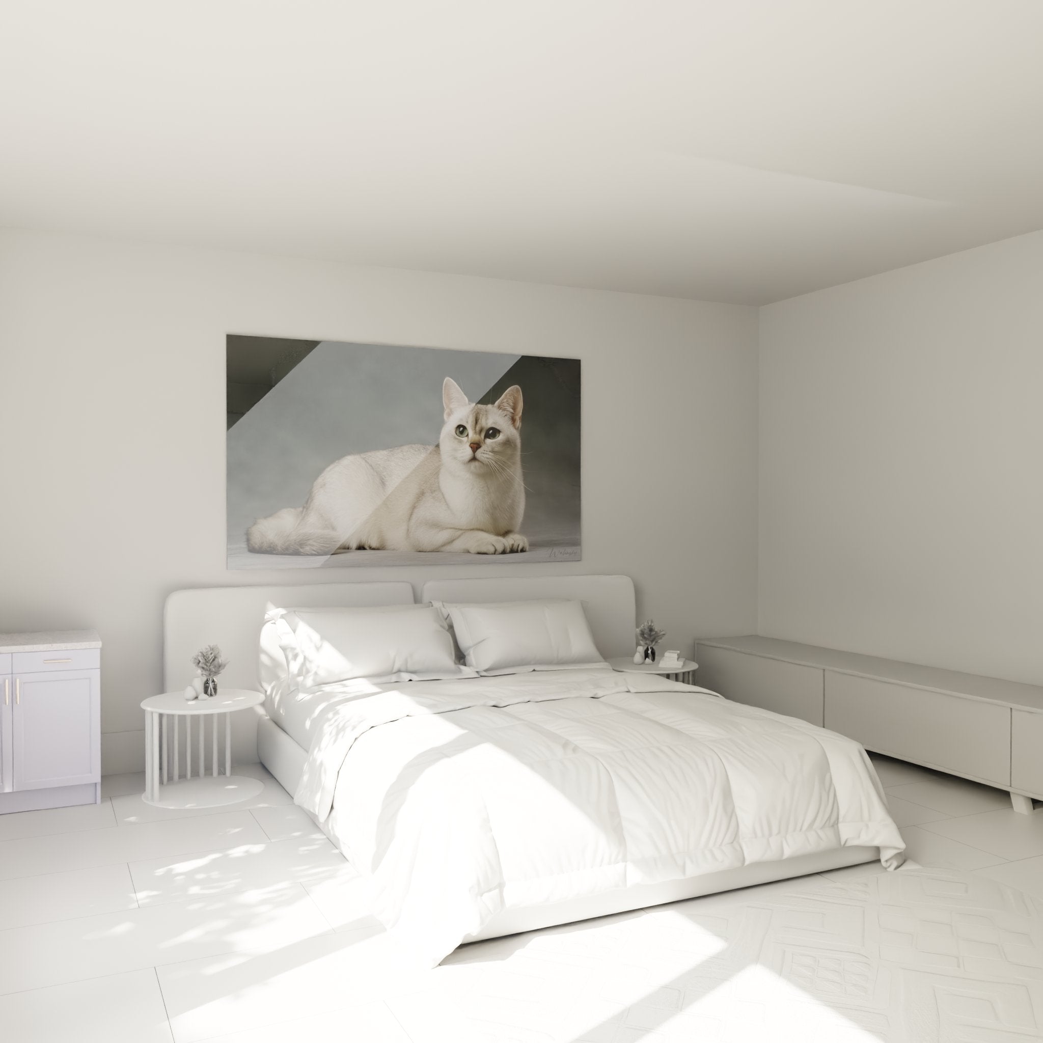Tableau chat Burmilla élégant décorant une chambre moderne avec son pelage argenté et ses yeux verts