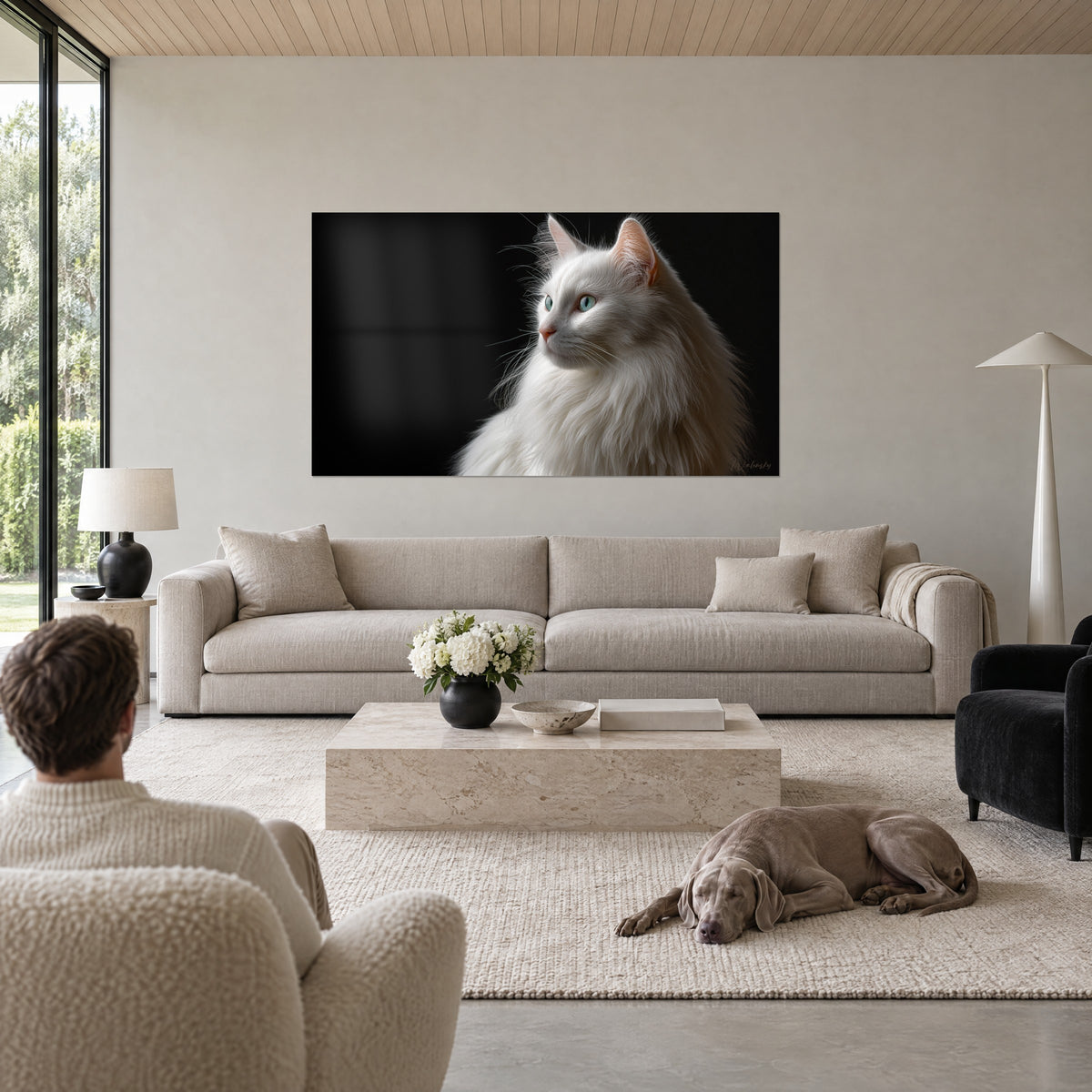 Πίνακας λευκή γάτα Turkish Angora, γαλάζιο βλέμμα προς τα αριστερά σε μαύρο φόντο, πάνω από καναπέ σε φωτεινό σαλόνι