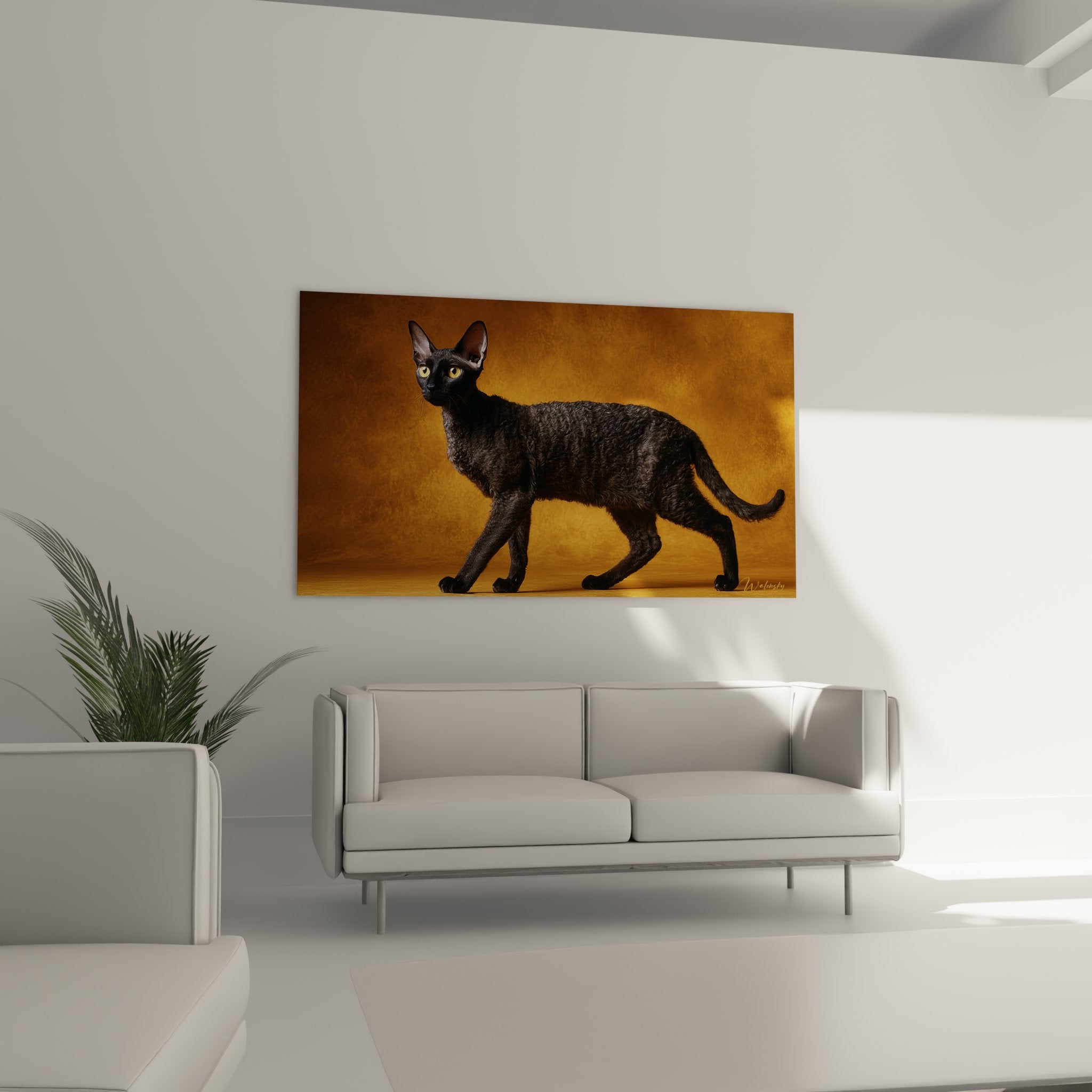 Primo piano quadro gatto Cornish Rex nero dettaglio mantello riccio occhi dorati espressione intensa arte felina qualità