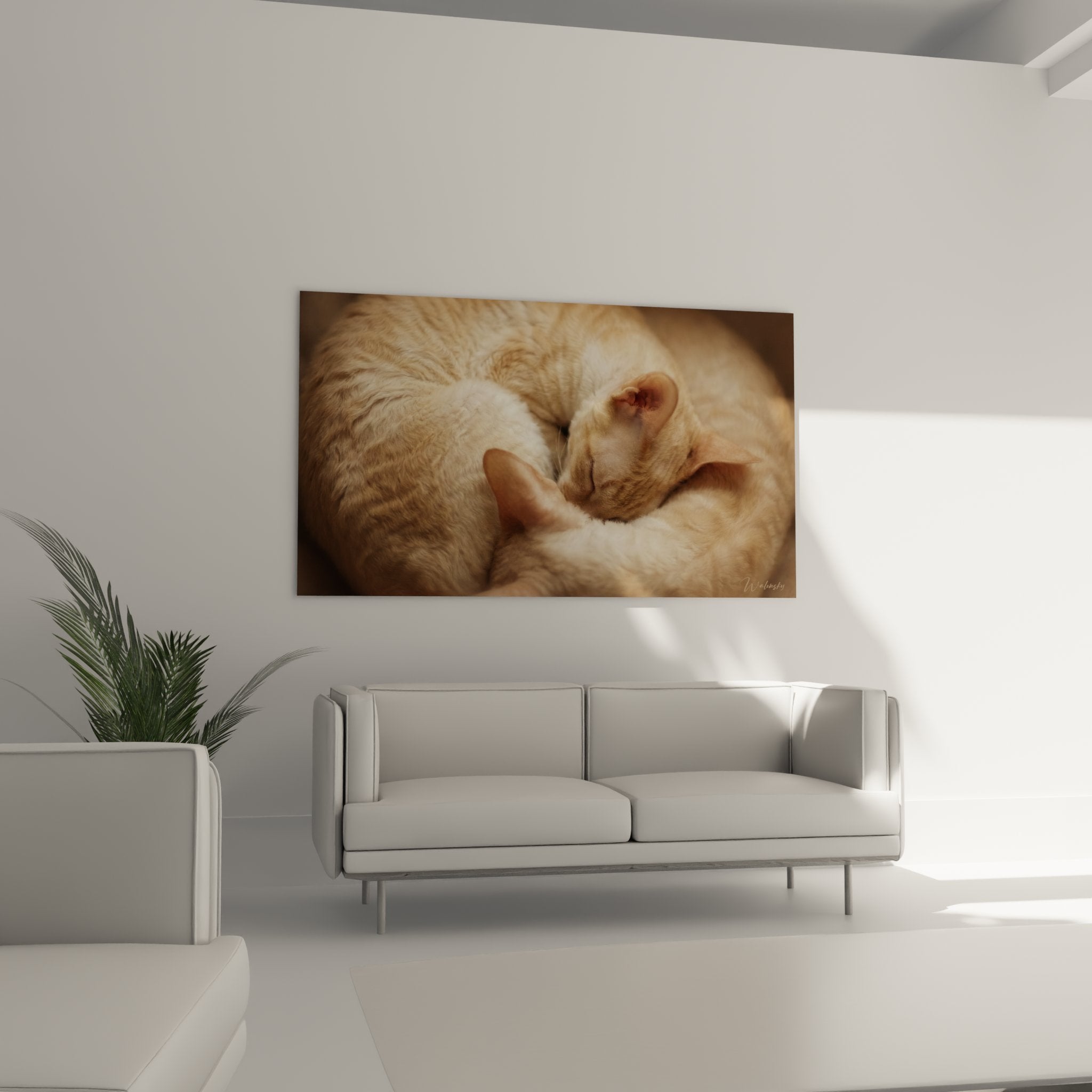 Dettaglio quadro gattini Cornish Rex addormentati, texture pelo fine e colori crema dorati