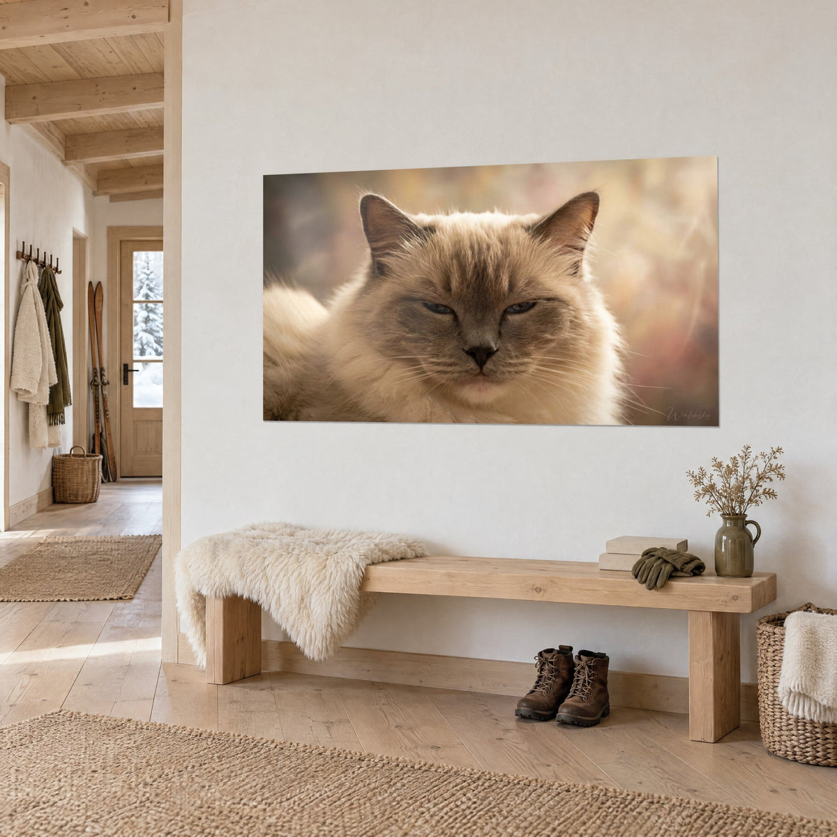 Schilderij katachtige met beige vacht en chocoladekleurig masker, slaperige blauwe blik, roze-okerkleurige achtergrond, op een witte chalet-entreemuur