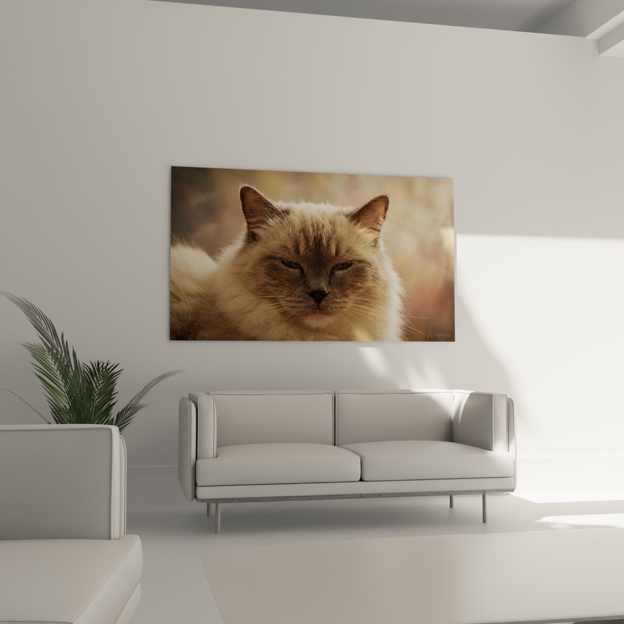 Primo piano gatto Ragdoll con occhi azzurri penetranti, mantello crema e point seal dettagliato