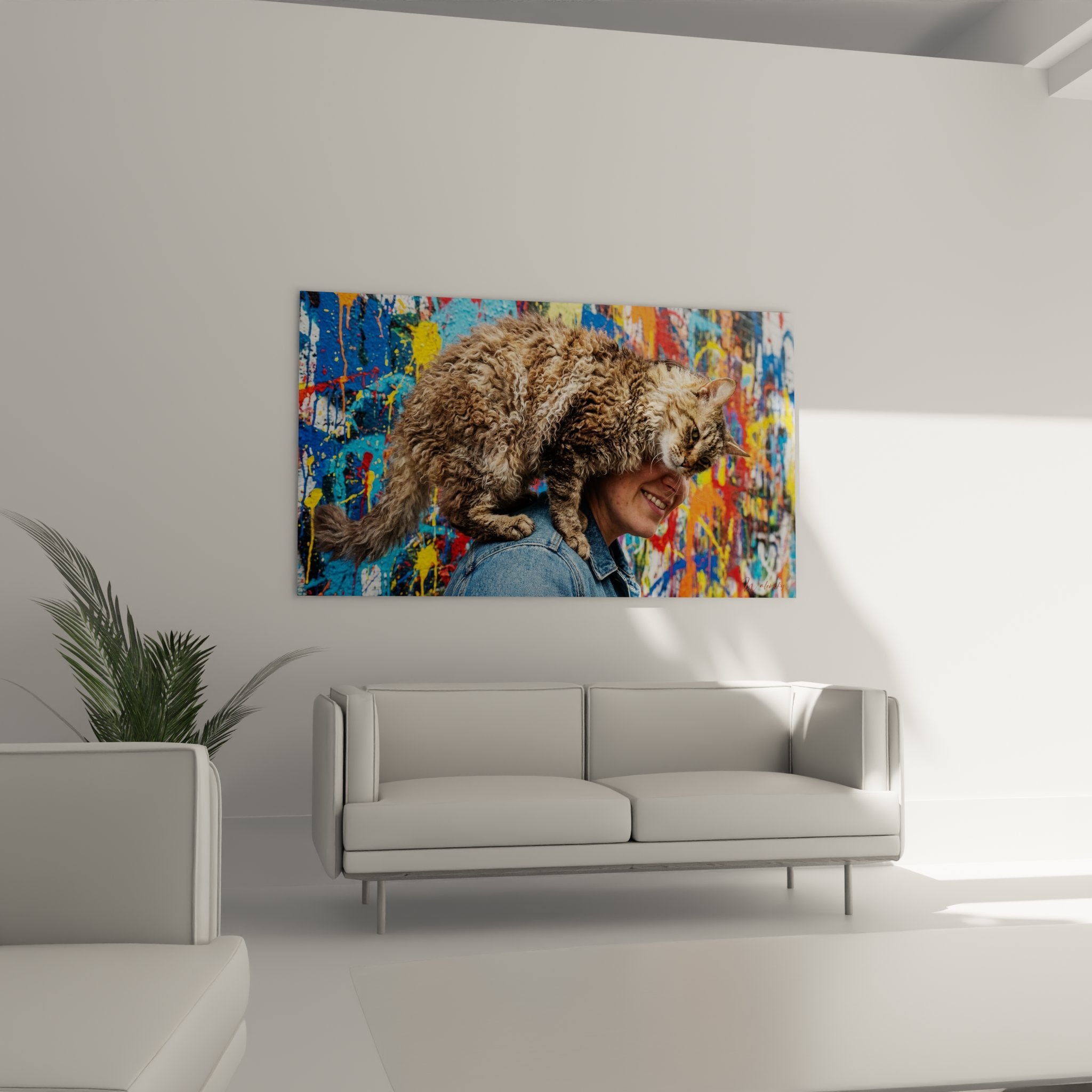 Primo piano gatto Laperm con mantello riccio marrone e crema sulla spalla con graffiti colorati su sfondo artistico