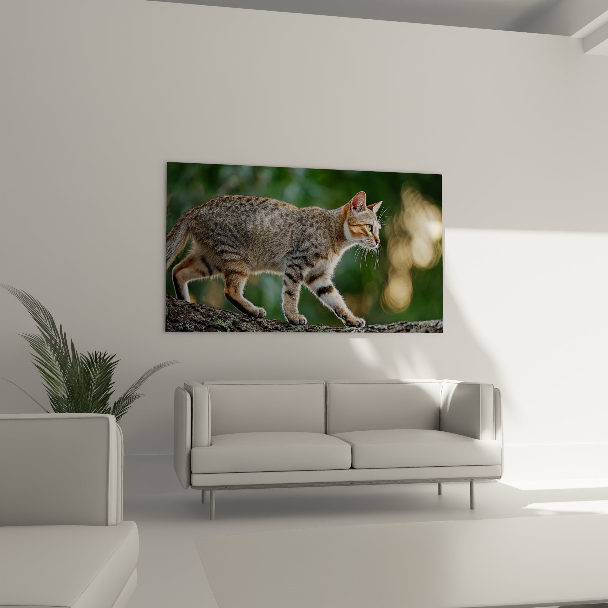 Gros plan tableau chat Sokoke, détails pelage tigré, texture toile premium, qualité impression haute définition