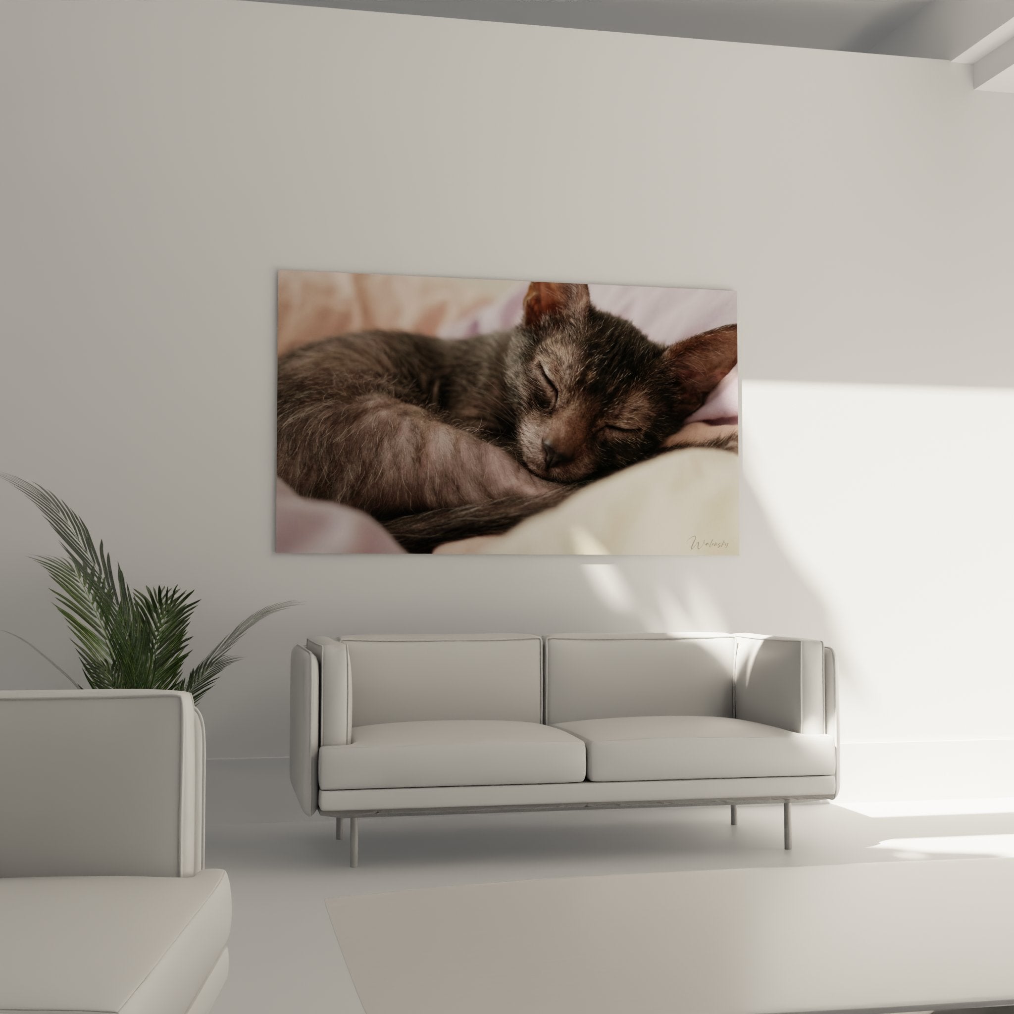 Primo piano su quadro gatto Lykoi dal mantello grigio distintivo addormentato, dettaglio artistico della razza felina unica