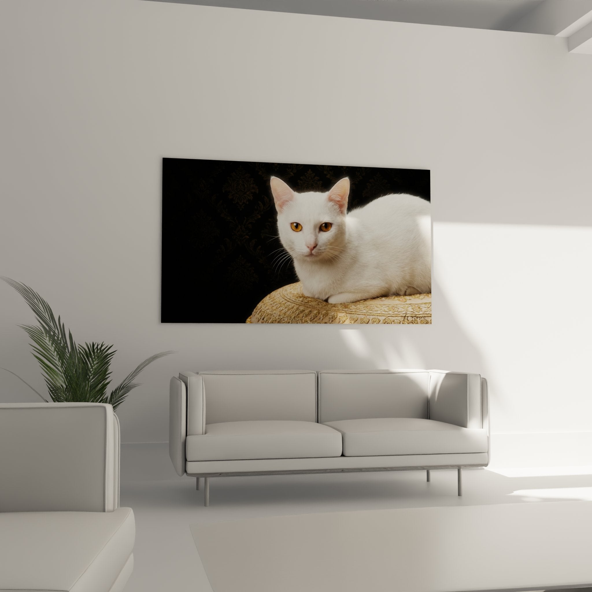 Gros plan chat Khao Manee yeux ambre dorés, détails pelage blanc immaculé, art photographique