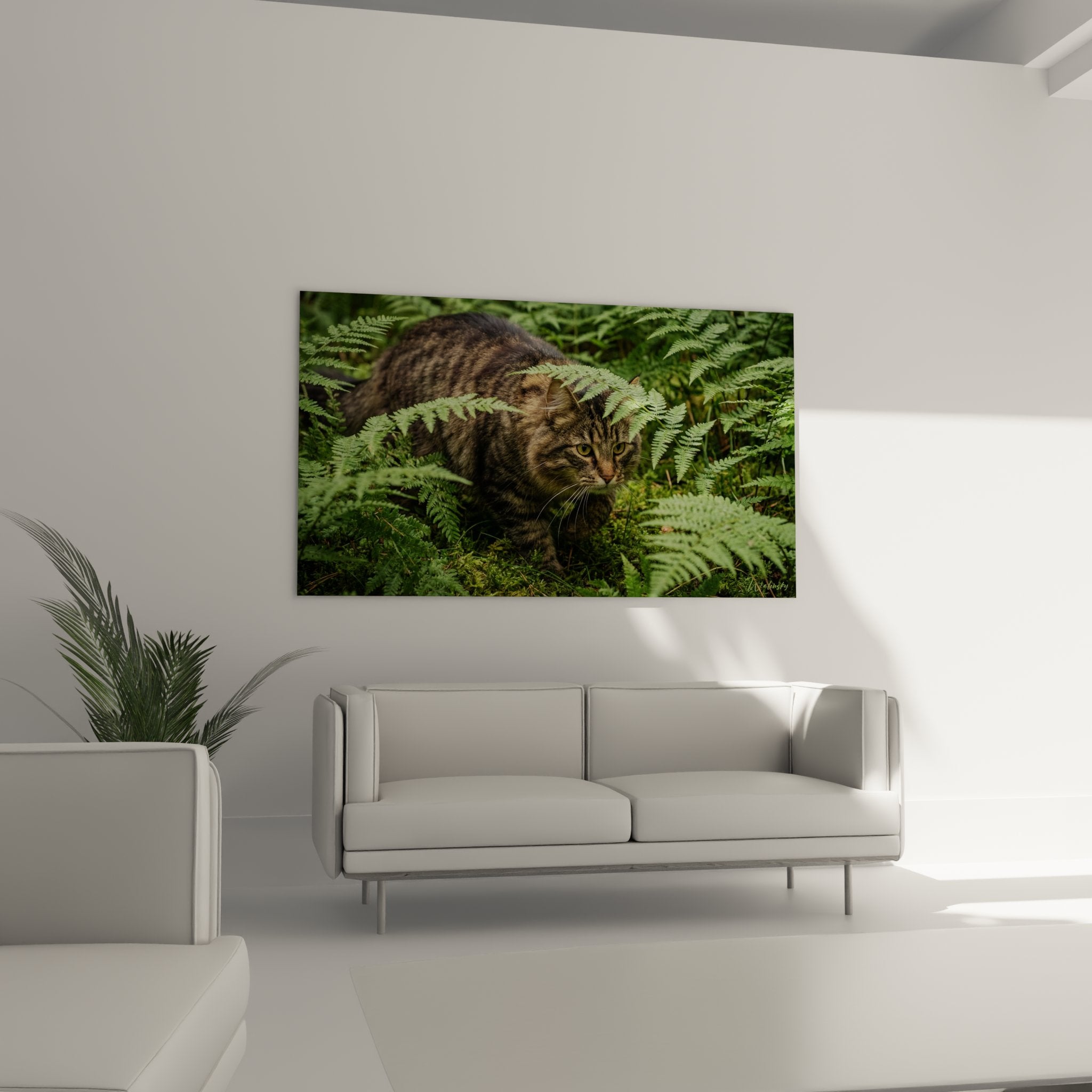 Detail tableau chat Norwegian Forest Cat yeux dores pelage tigre dans vegetation fougeres vertes