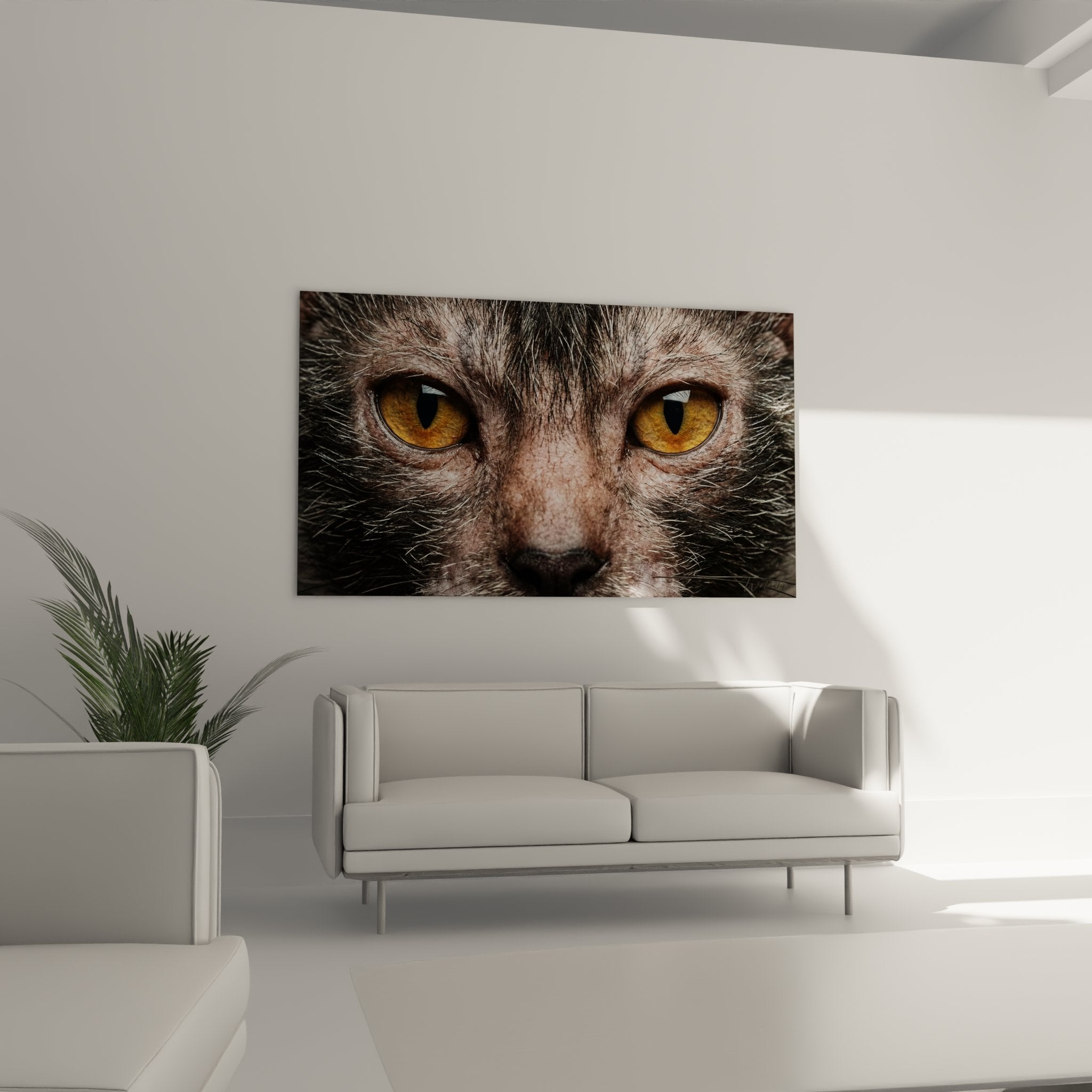 Dettaglio affascinante degli occhi dorati ipnotizzanti e del mantello grigio unico del gatto Lykoi su tela artistica