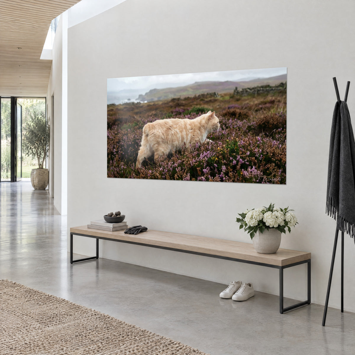 Tableau félin roux pâle sans queue marchant parmi les bruyères pourpres et brunes, mur blanc, banc en bois et vase de fleurs