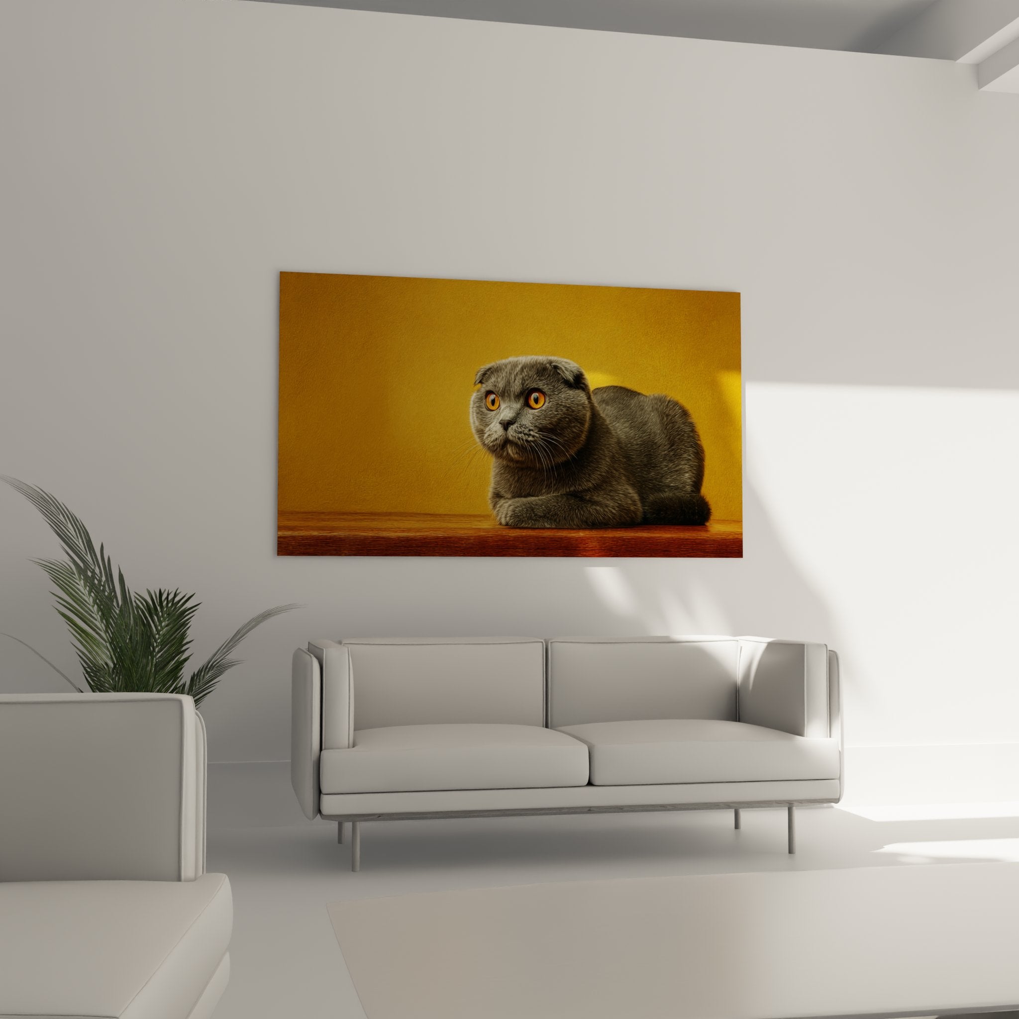 Close-up portrait of gray Scottish Fold cat showing fur detail and amber-eyed intensity