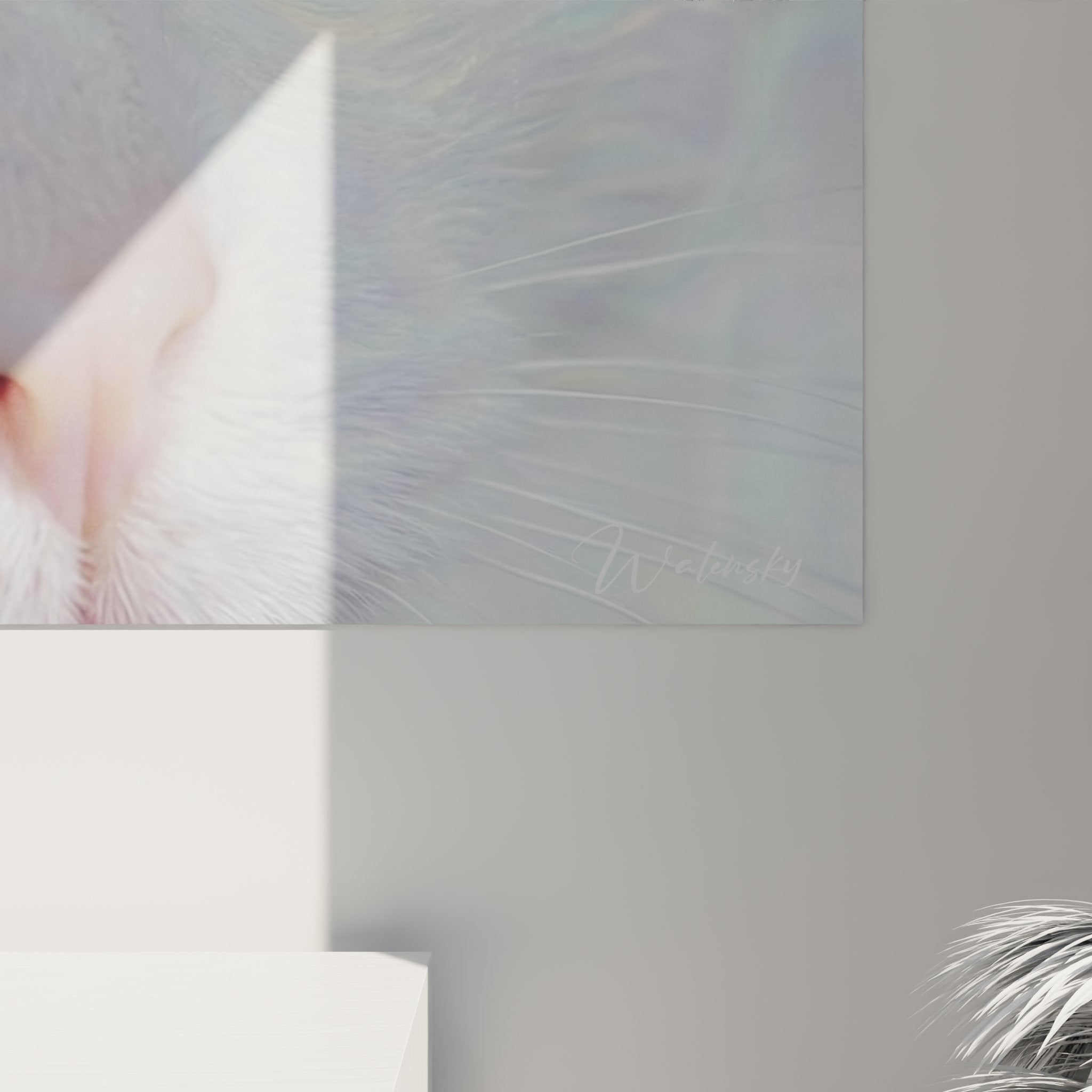 Vista generale quadro murale gatto Khao Manee bianco, opera d'arte felina occhi multicolori decorazione d'interni