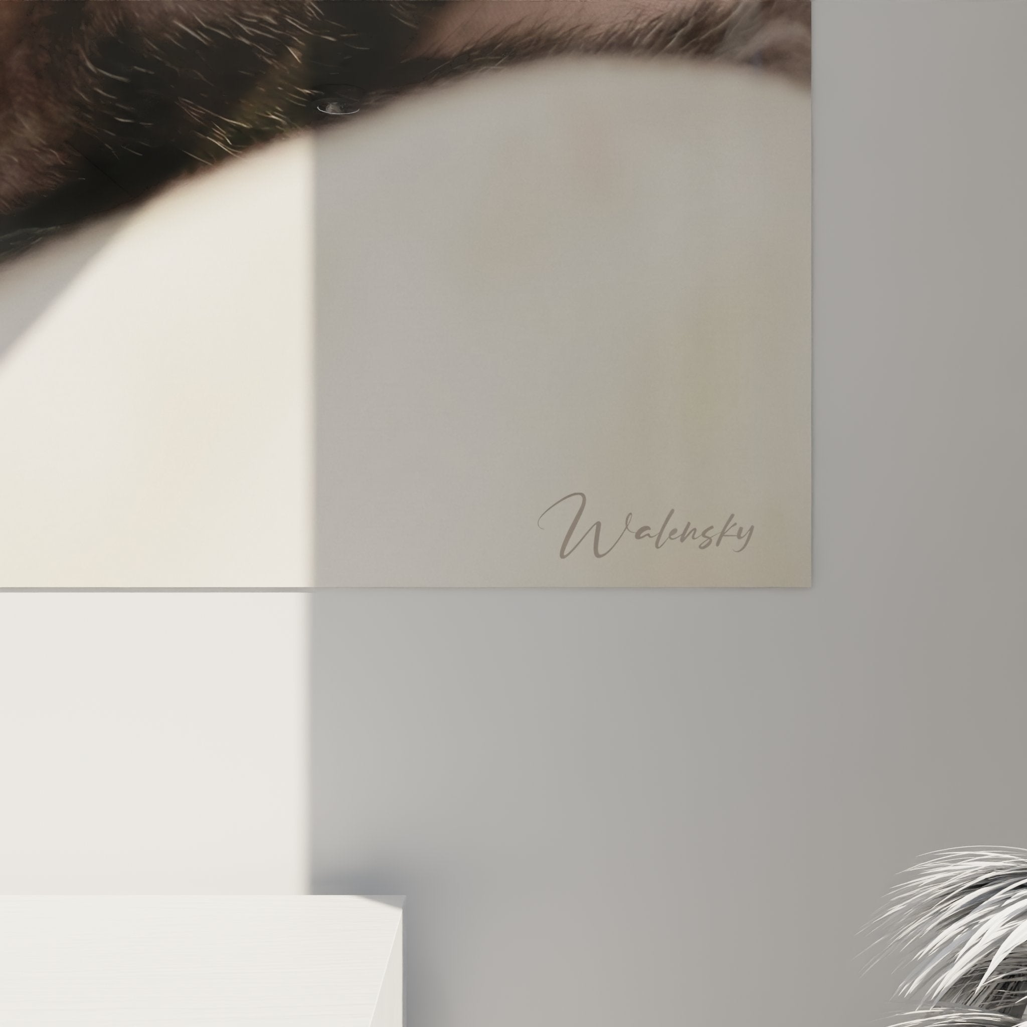 Vista d'insieme quadro murale gatto Lykoi addormentato in salotto contemporaneo, arte felina decorativa moderna