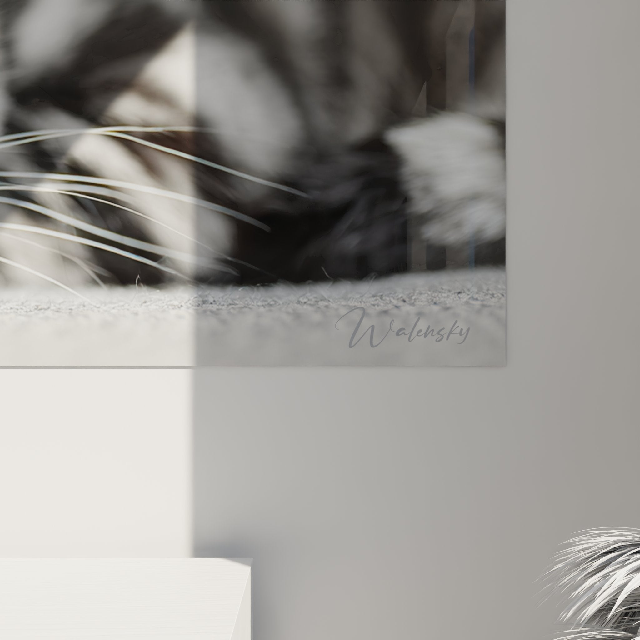 Vue ensemble tableau mural chat American Shorthair repos decoration interieur