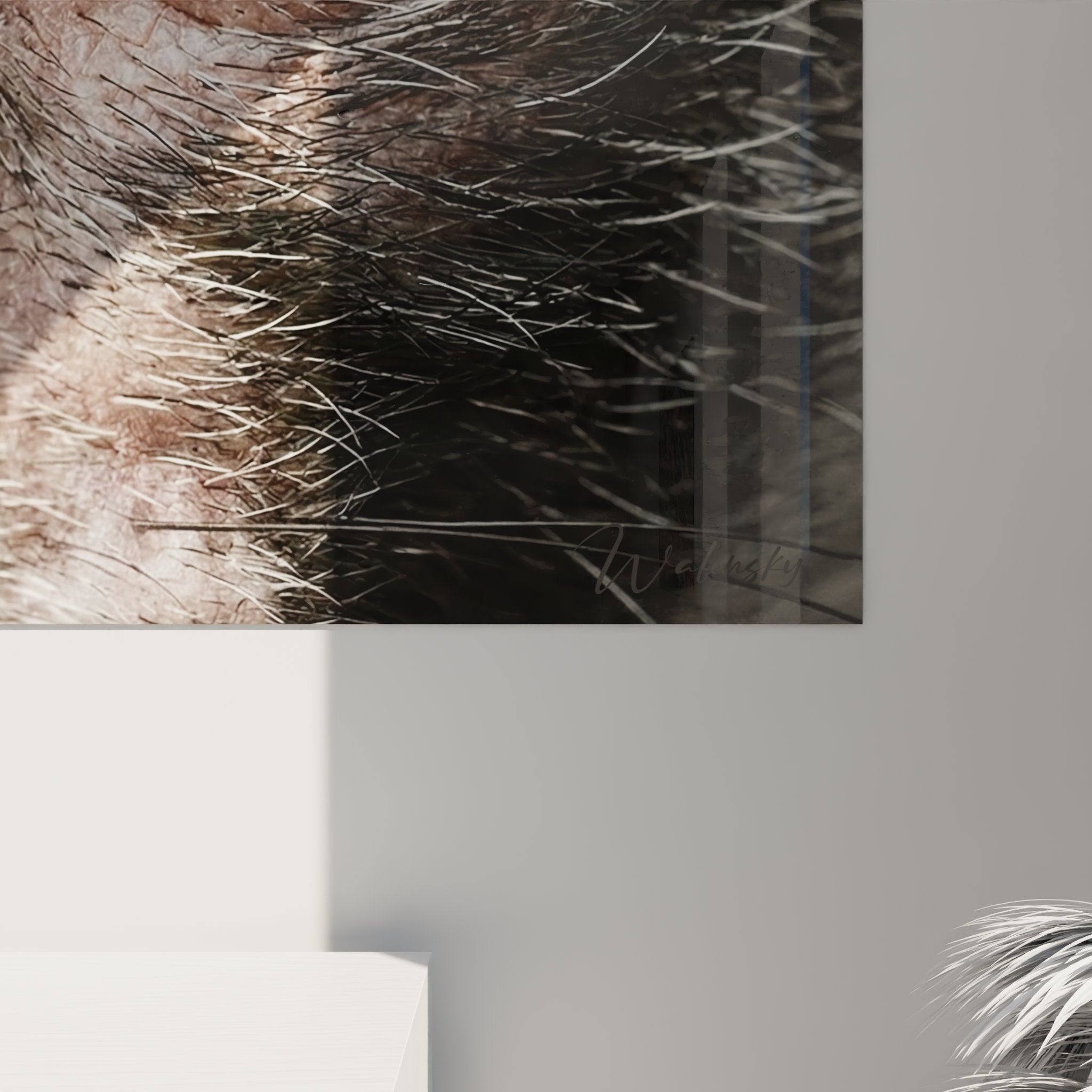 Panoramica del quadro gatto Lykoi con sguardo penetrante, perfetto per decorazione murale contemporanea chic