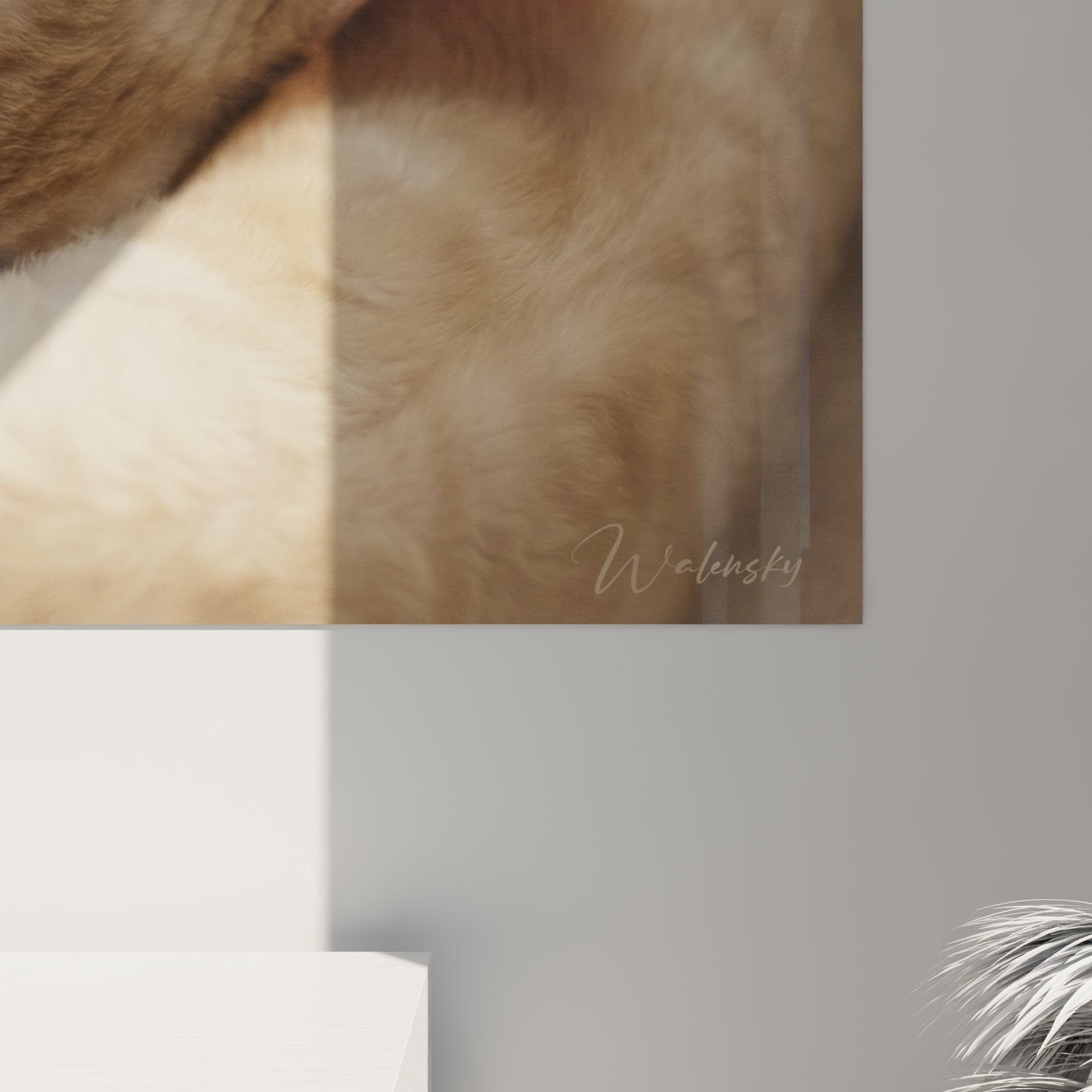 Vista d'insieme quadro murale gattini addormentati Cornish Rex, stile fotografico artistico