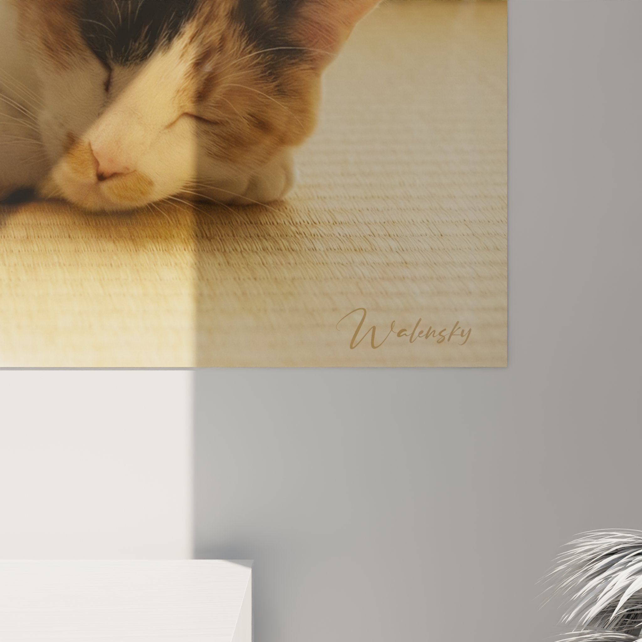 Overview of Japanese Bobtail cat artwork in Japanese living room with tatami mats, wooden partitions and soft natural light