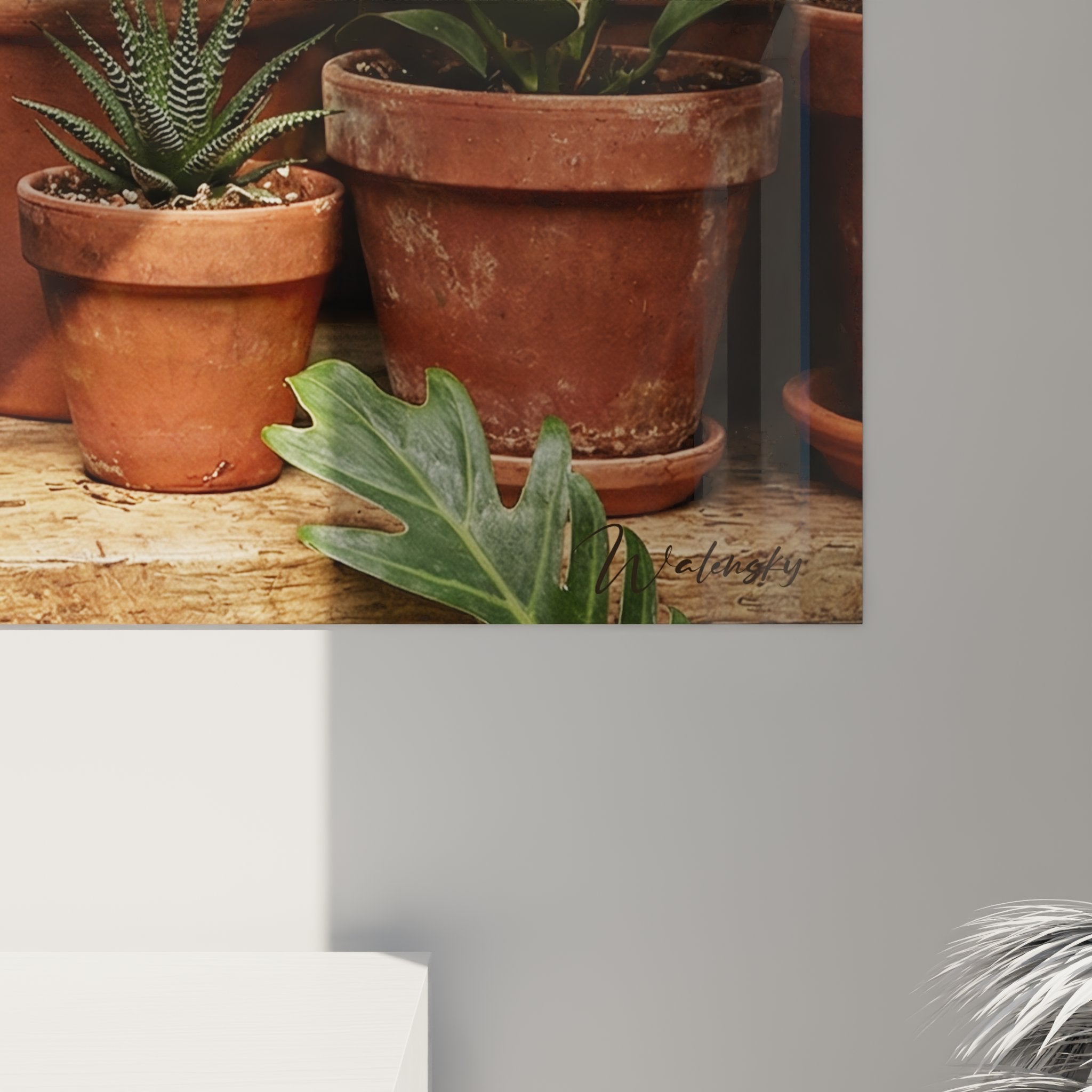 Vue d'ensemble du tableau mural chat serre tropicale dans un intérieur contemporain lumineux