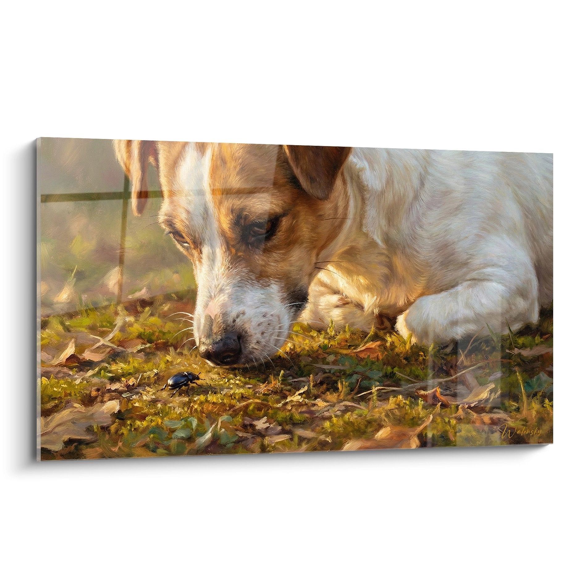 Jack Russel Terrier curieux observant un insecte parmi les feuilles automne tableau art canin
