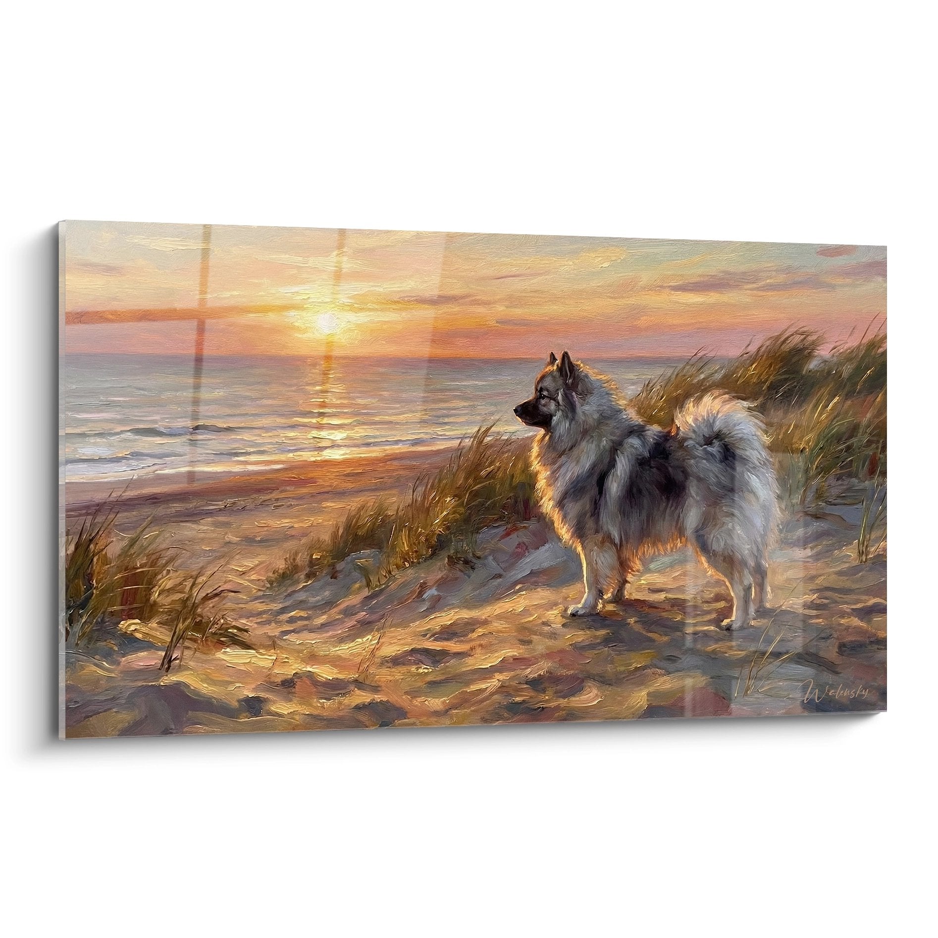 Keeshond contemplatif sur dunes dorées au coucher soleil, tons oranges et ocres, ambiance maritime paisible