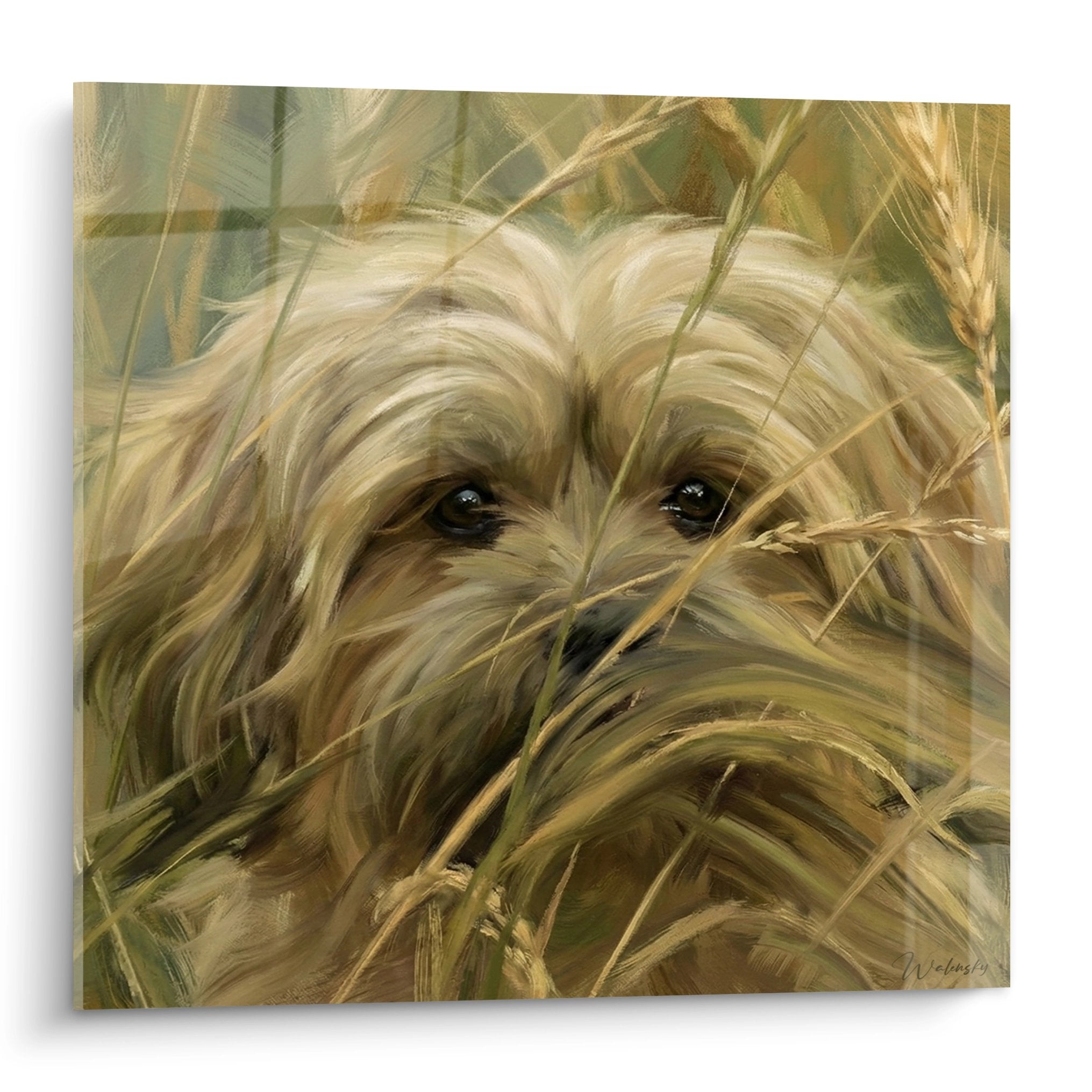 Tableau Lhassa Apso aux yeux perçants dans herbes dorées, peinture impressionniste tons ocres et verts