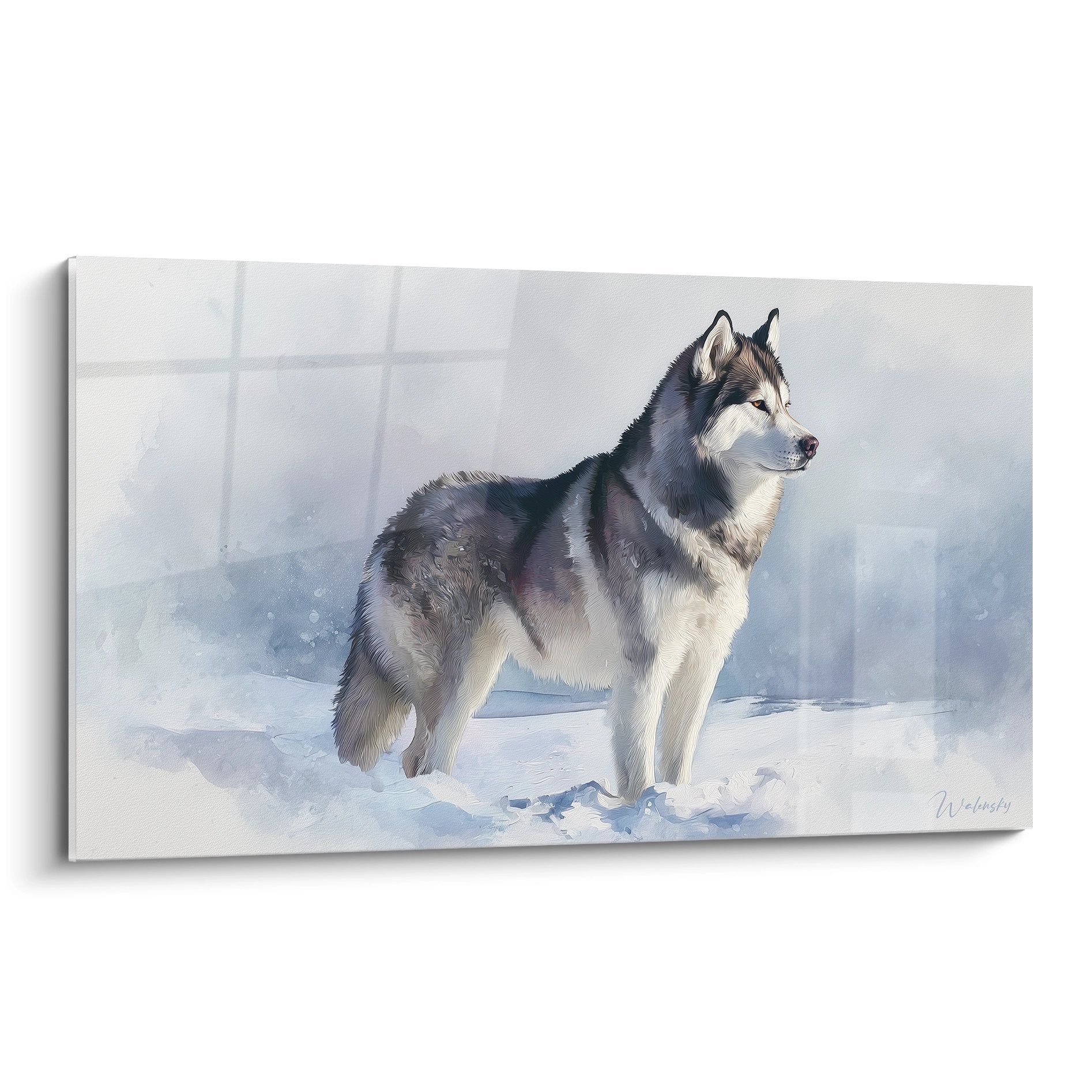 Malamute Alaska majestueux dans la neige, pelage gris et blanc, regard noble, paysage hivernal artistique
