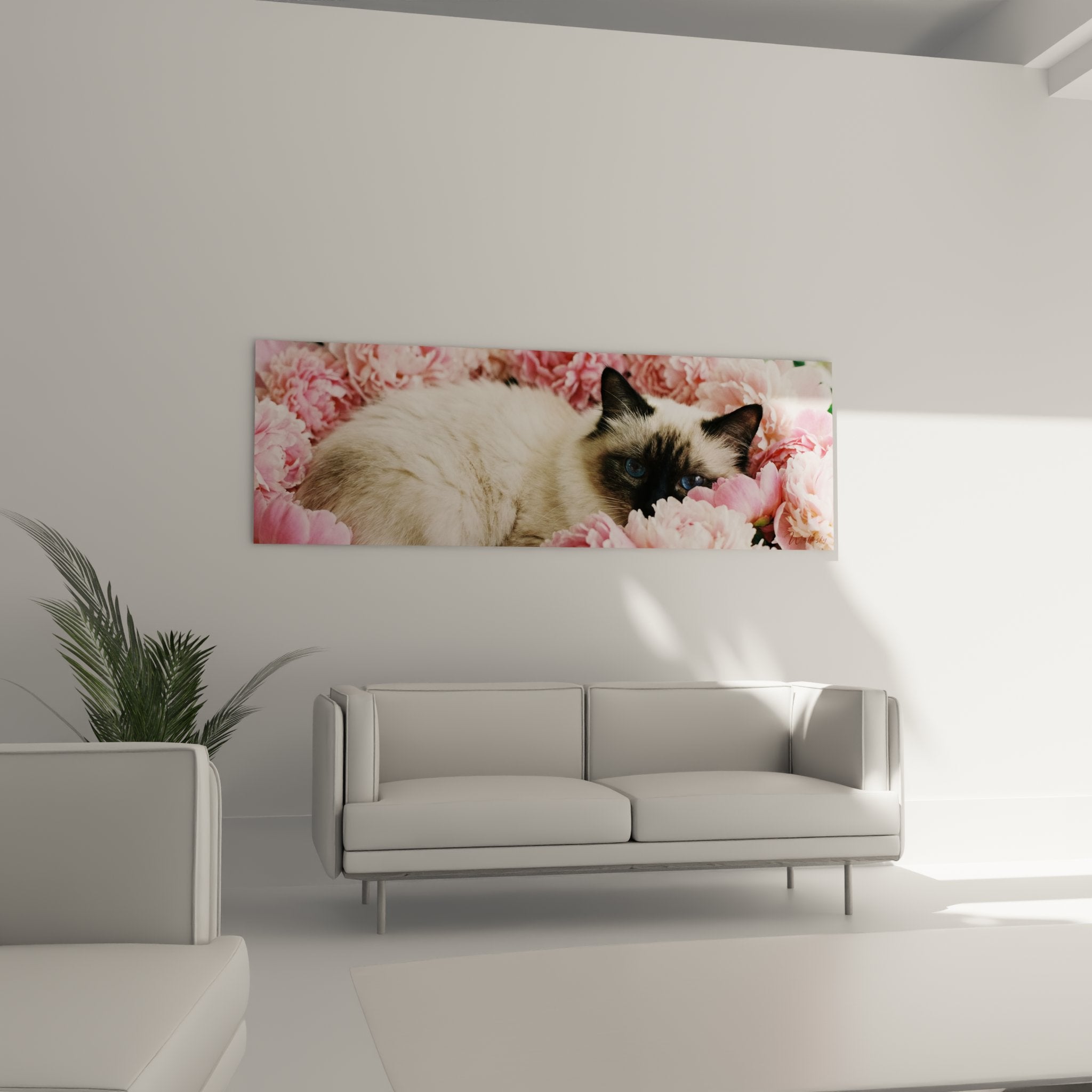 Gros plan tableau chat Birman yeux bleus saphir entouré de délicates pivoines roses épanouies