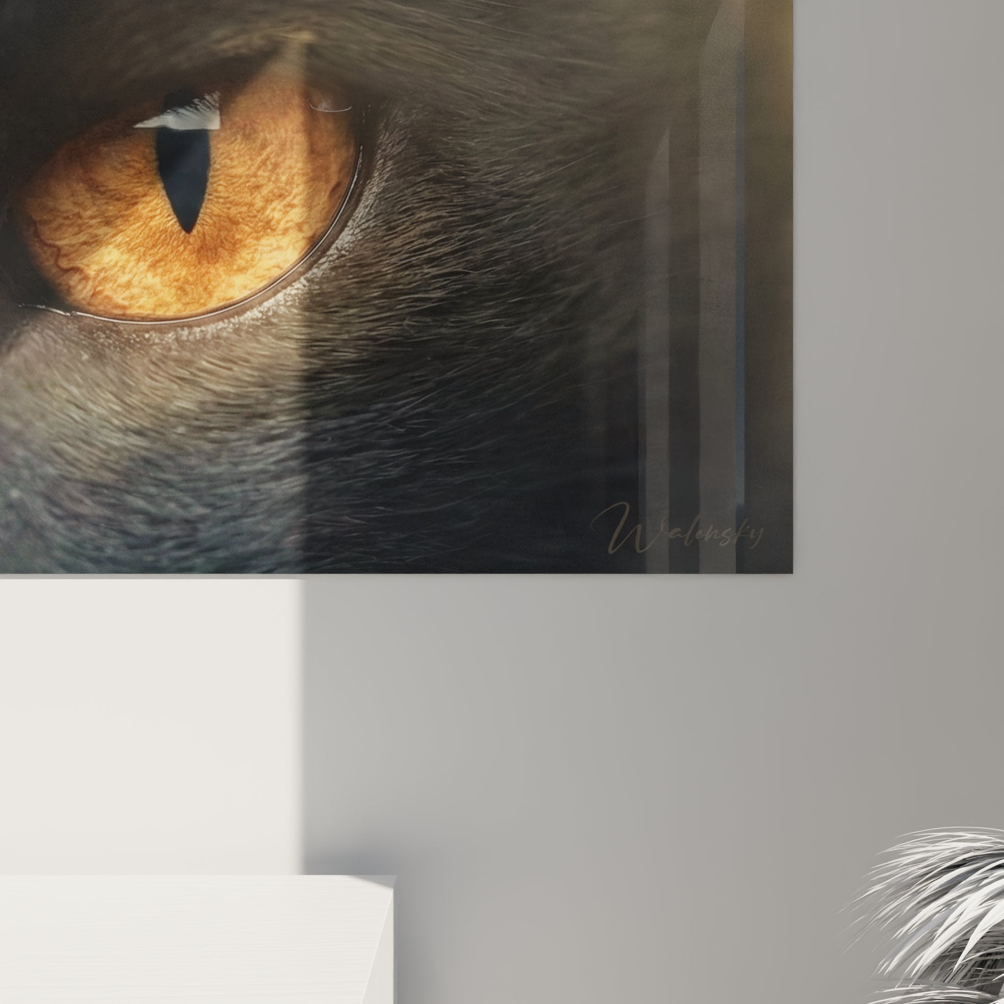 Vue d'ensemble tableau chat Bombay format panoramique yeux perçants décoration murale moderne