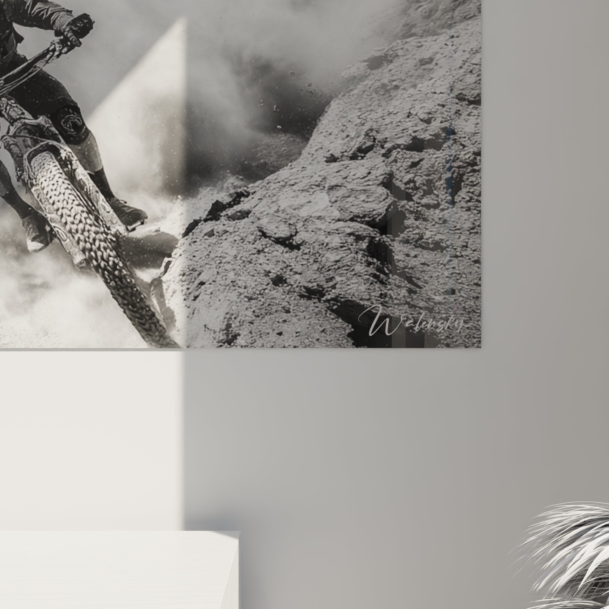 Vue d'ensemble tableau panoramique VTT descente en montagne decoration murale sport extreme