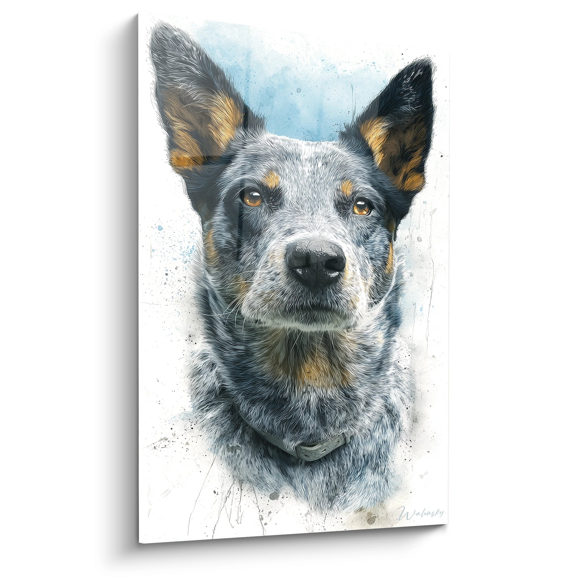 Portrait aquarelle Australian Cattle Dog aux tons bleu-gris et yeux ambrés sur fond clair avec éclaboussures artistiques
