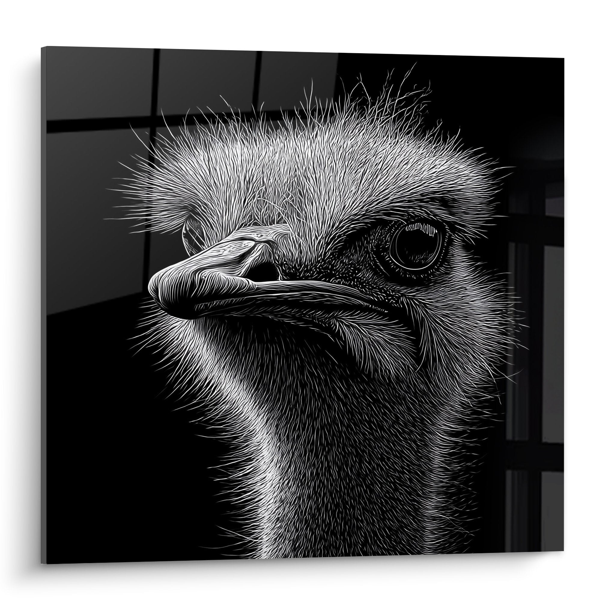 Portrait autruche noir blanc style gravure regard intense plumage détaillé technique artistique