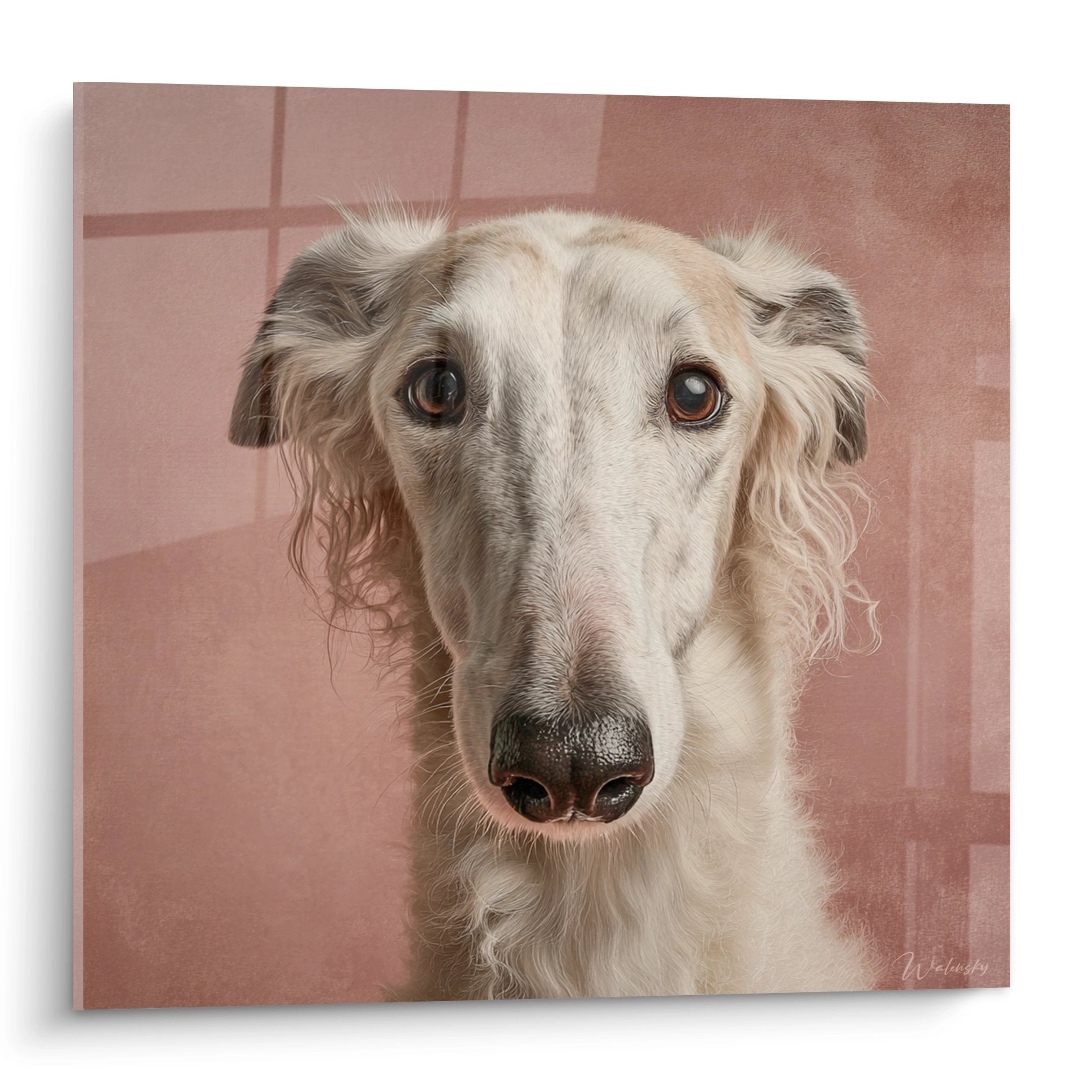 Portrait Barzoi aux tons beiges et roses, regard ambre mélancolique, pelage soyeux, fond poudré délicat