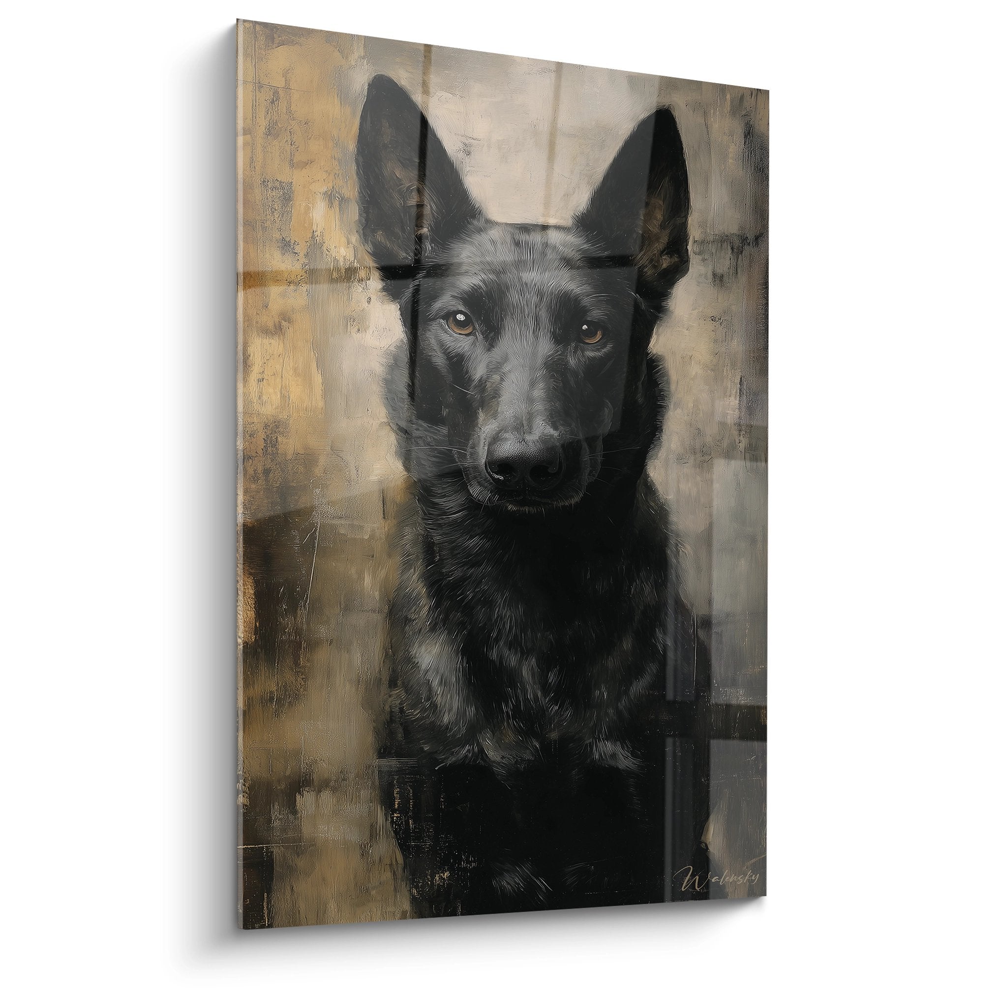 Porträt eines Belgischen Schäferhundes Malinois mit bernsteinfarbenen Augen auf strukturiertem ockergelben Hintergrund, intensiver Blick und aufgerichtete Ohren