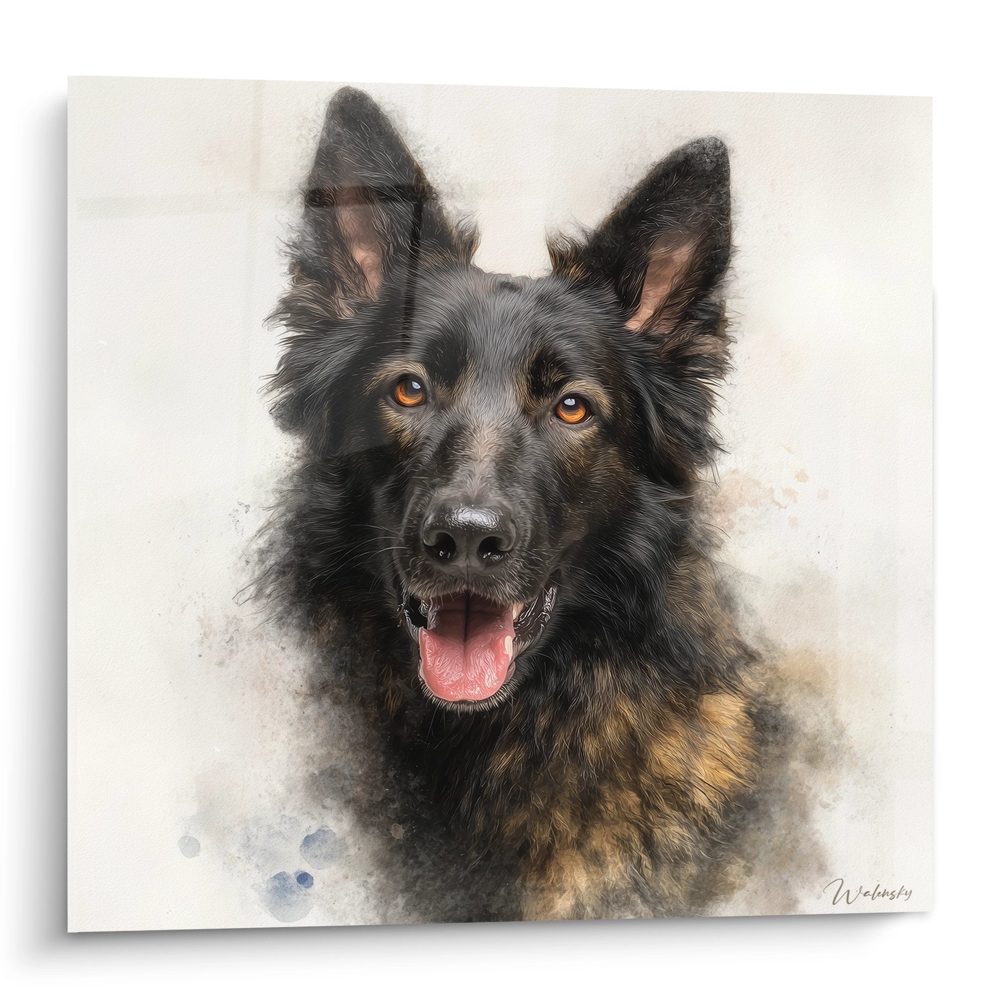 Portrait aquarelle Berger Hollandais noir et feu aux yeux ambrés langue sortie fond beige neutre