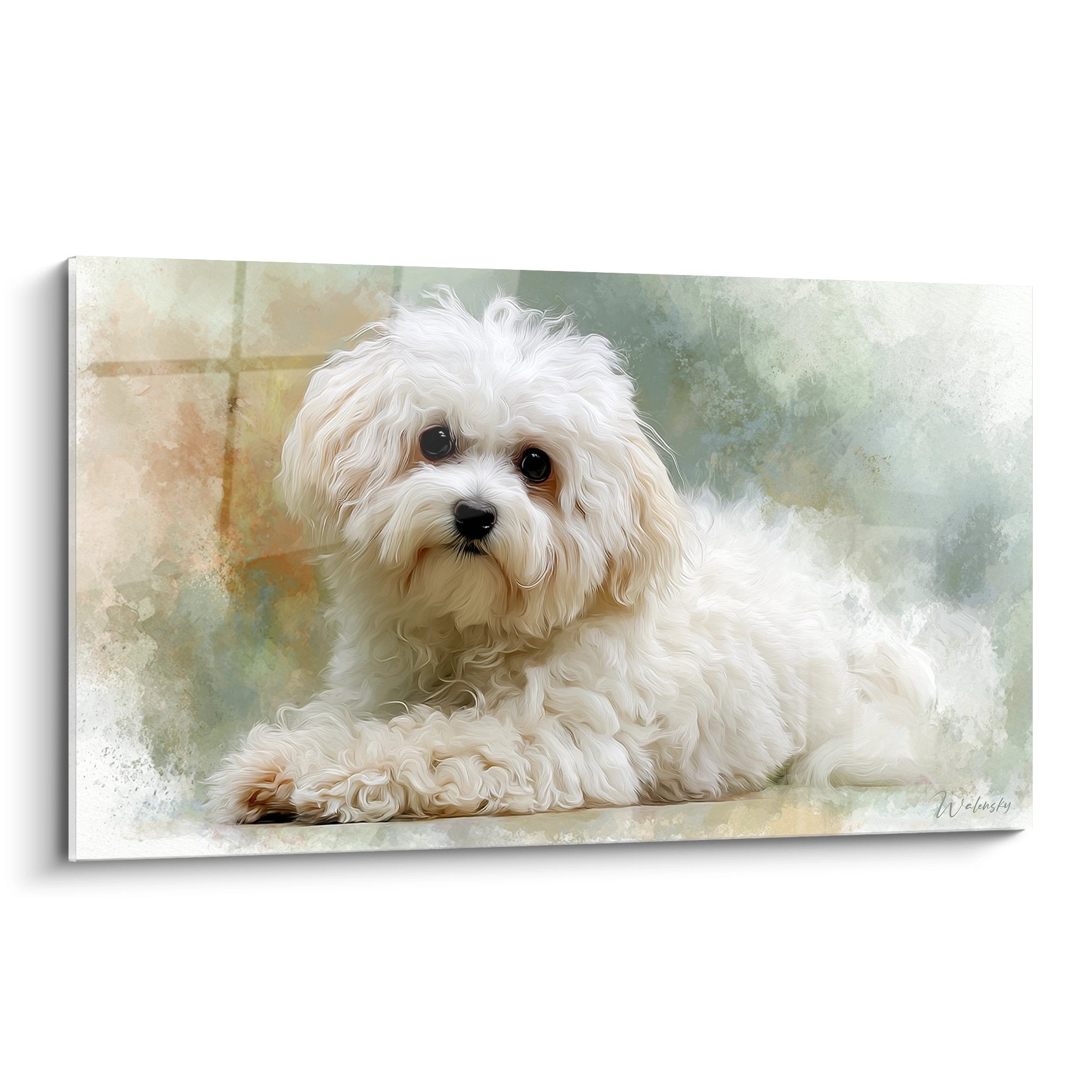 Portrait aquarelle Bichon Havanais blanc yeux noirs expressifs fond vert poudrée style moderne décoratif